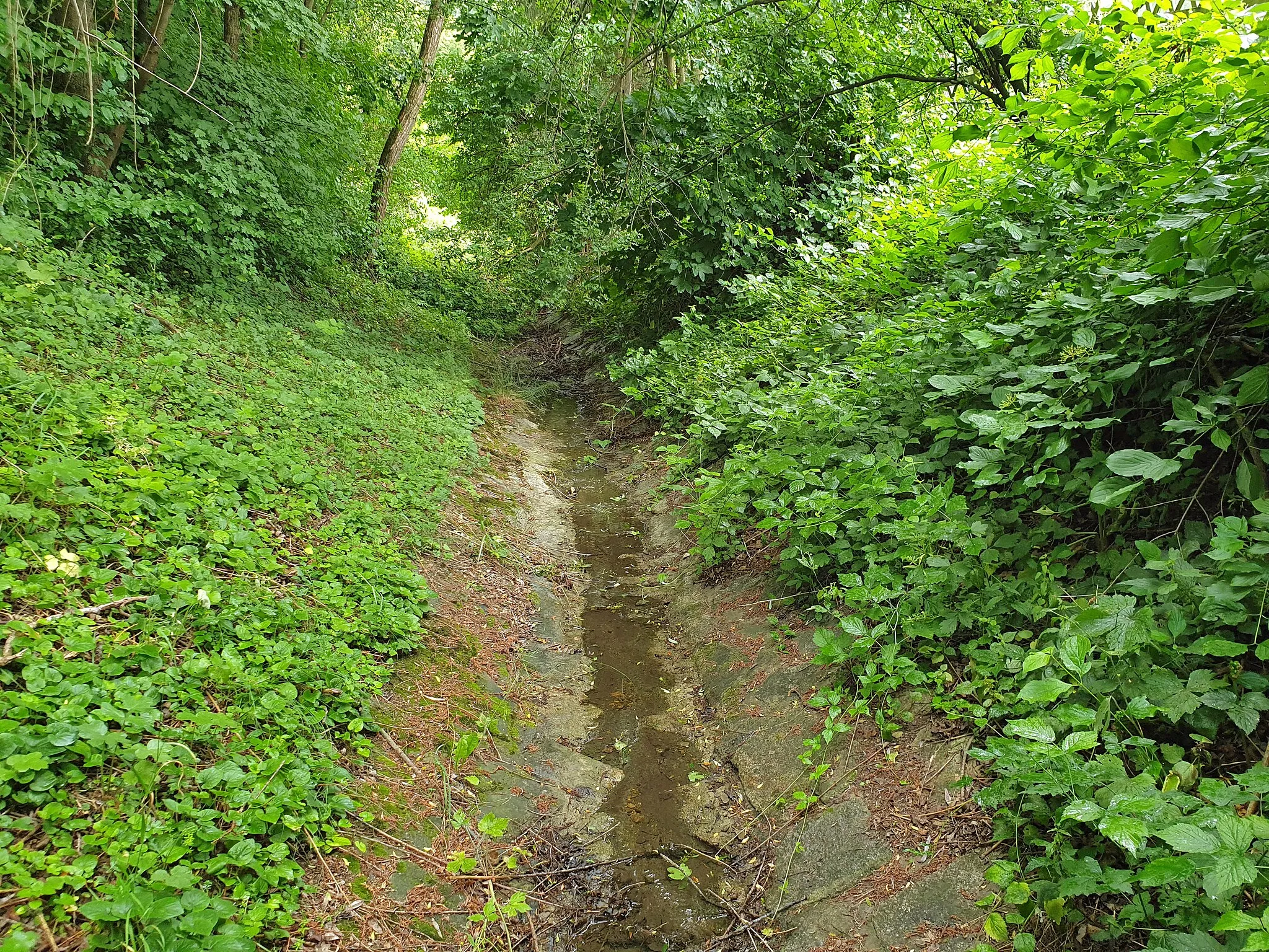 Photo showing: Grenzgraben in Wien-Kalksburg.