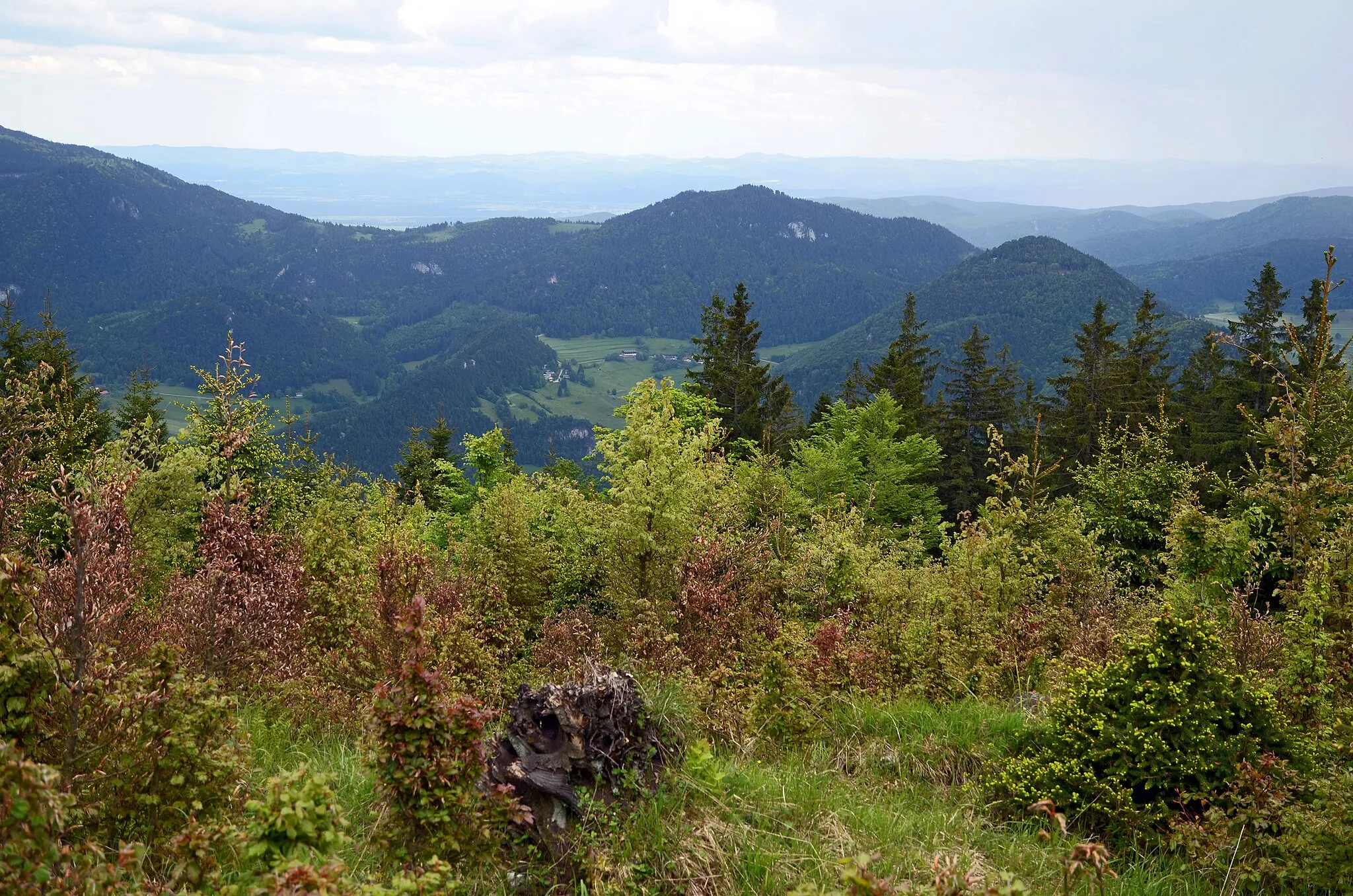 Photo showing: Niederösterreich, Miesenbach, Dürre Wand. Blick auf Hutberg (971 m, Marktgemeinde Puchberg am Schneeberg; im Bild Mitte rechts), Gelände (1.023 m, Marktgemeinde Grünbach am Schneeberg; links hinter Hutberg), Rastkreuz-Sattel (868 m, MG Grünbach a. S.; tiefster Punkt der Bergkette links vom Gelände – danach Anstieg zu Plackles, Hohe-Wand-Plateau)