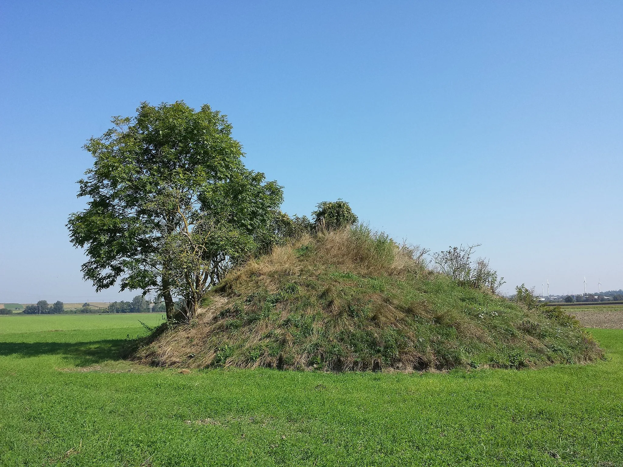 Photo showing: Barrow, called Löwenberg, next to Unterzögersdorf, Bezirk Korneuburg, Niederösterreich