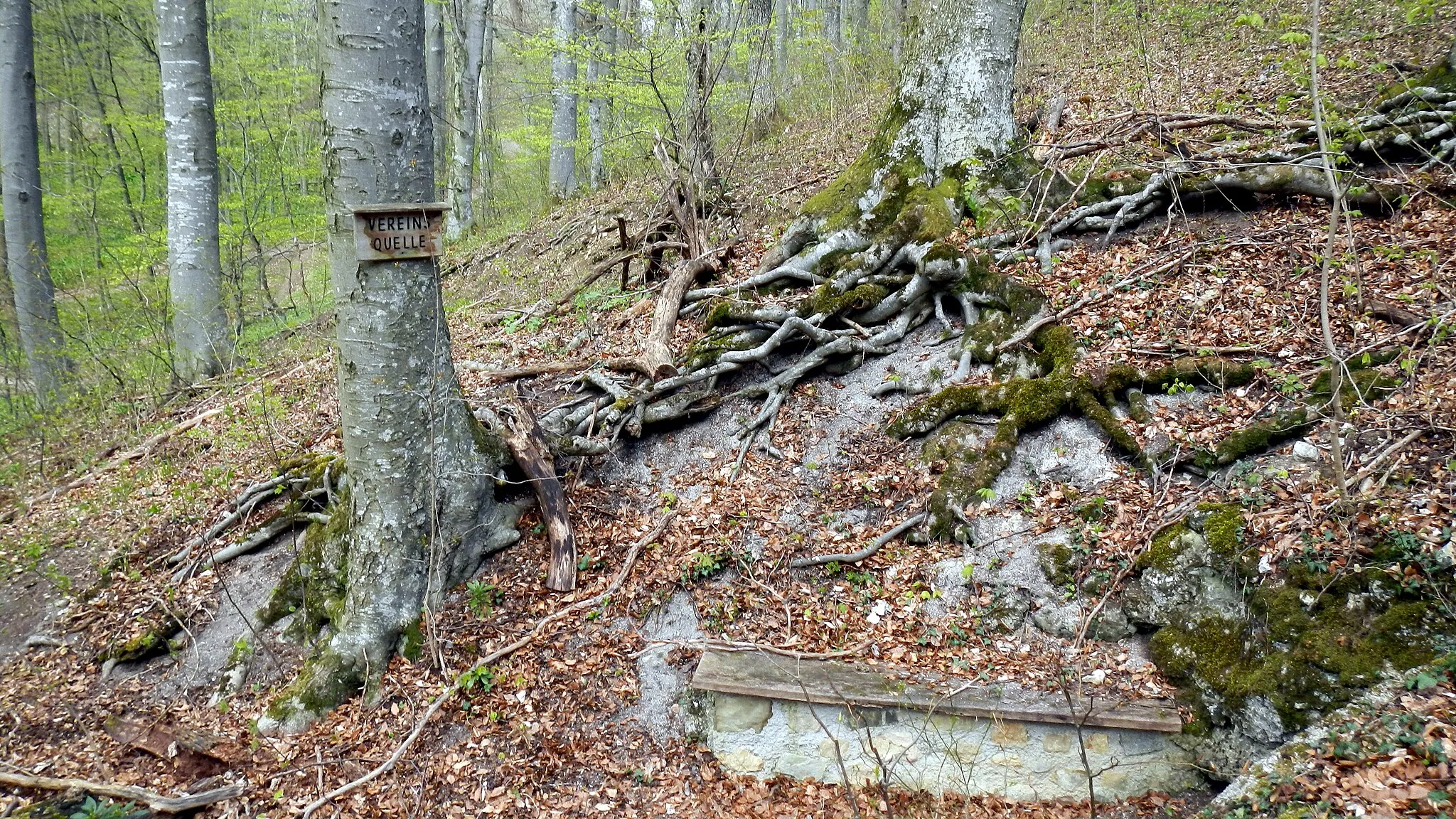 Photo showing: Die Vereinsquelle ist eine kleine Quelle im Wienerwald, im Naturpark Föhrenberge. Sie liegt im Süden von Kaltenleutgeben, Niederösterreich.