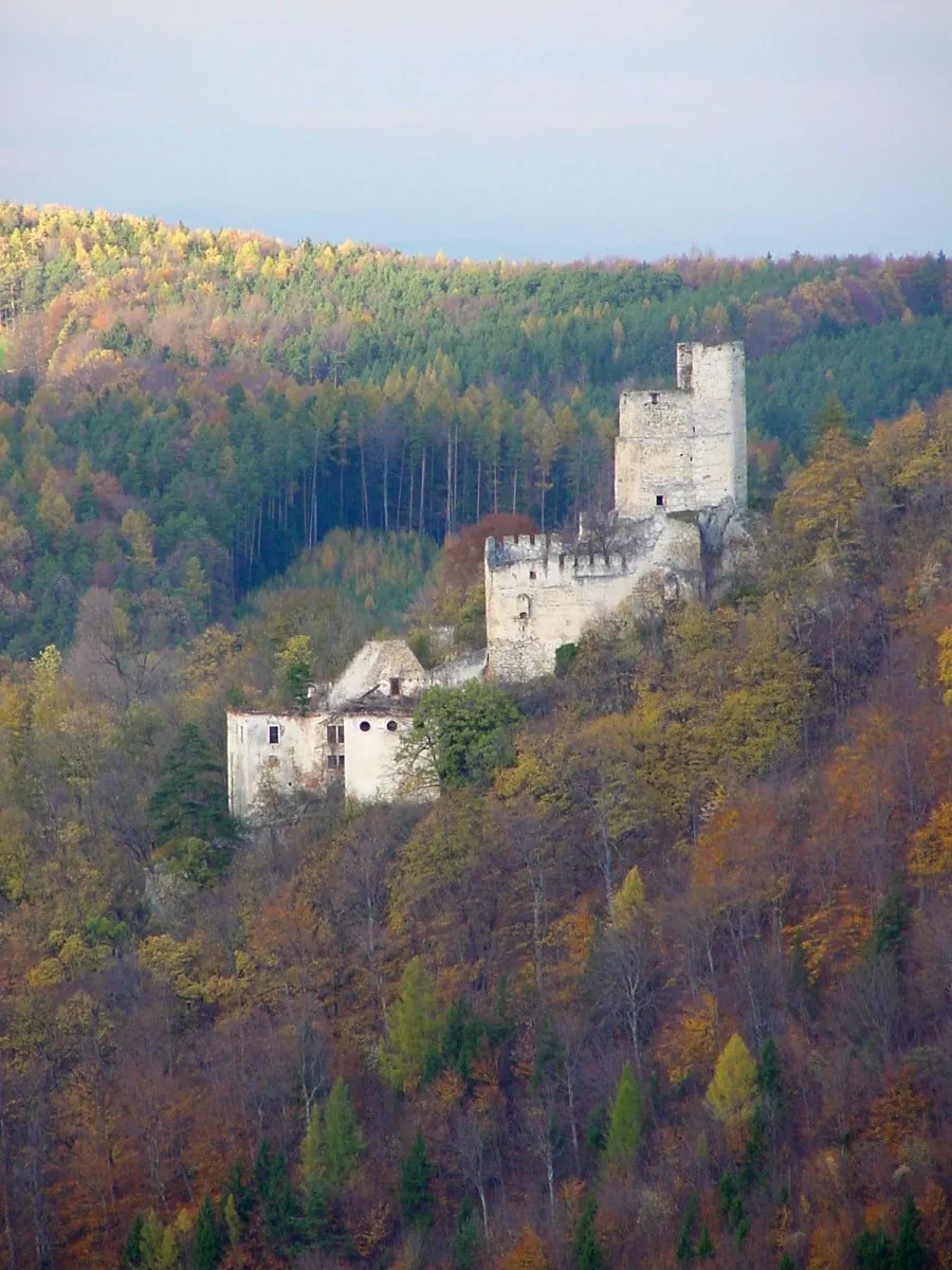 Photo showing: Thernberg Burg (Gemeinde Scheiblingkirchen).jpg