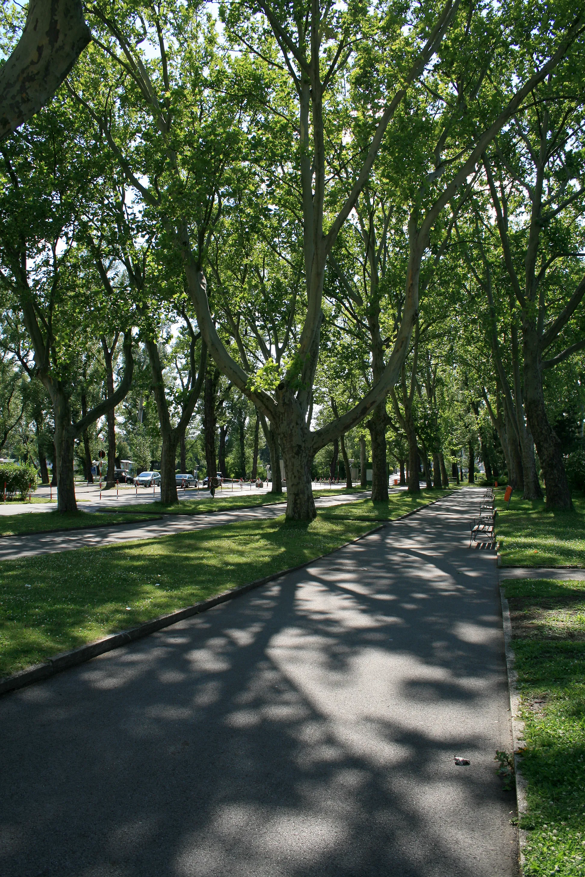 Photo showing: On Gänsehäufel island in Vienna