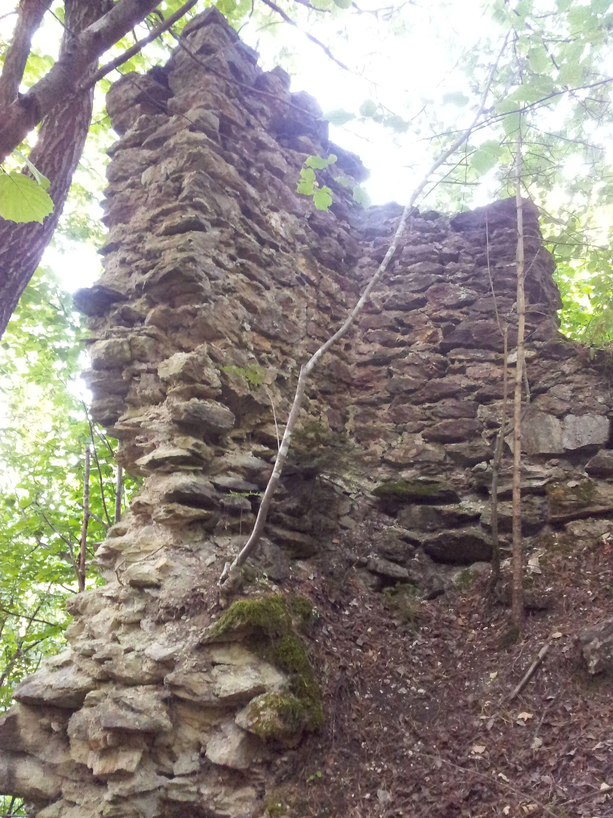 Photo showing: Ruine Stubenberg