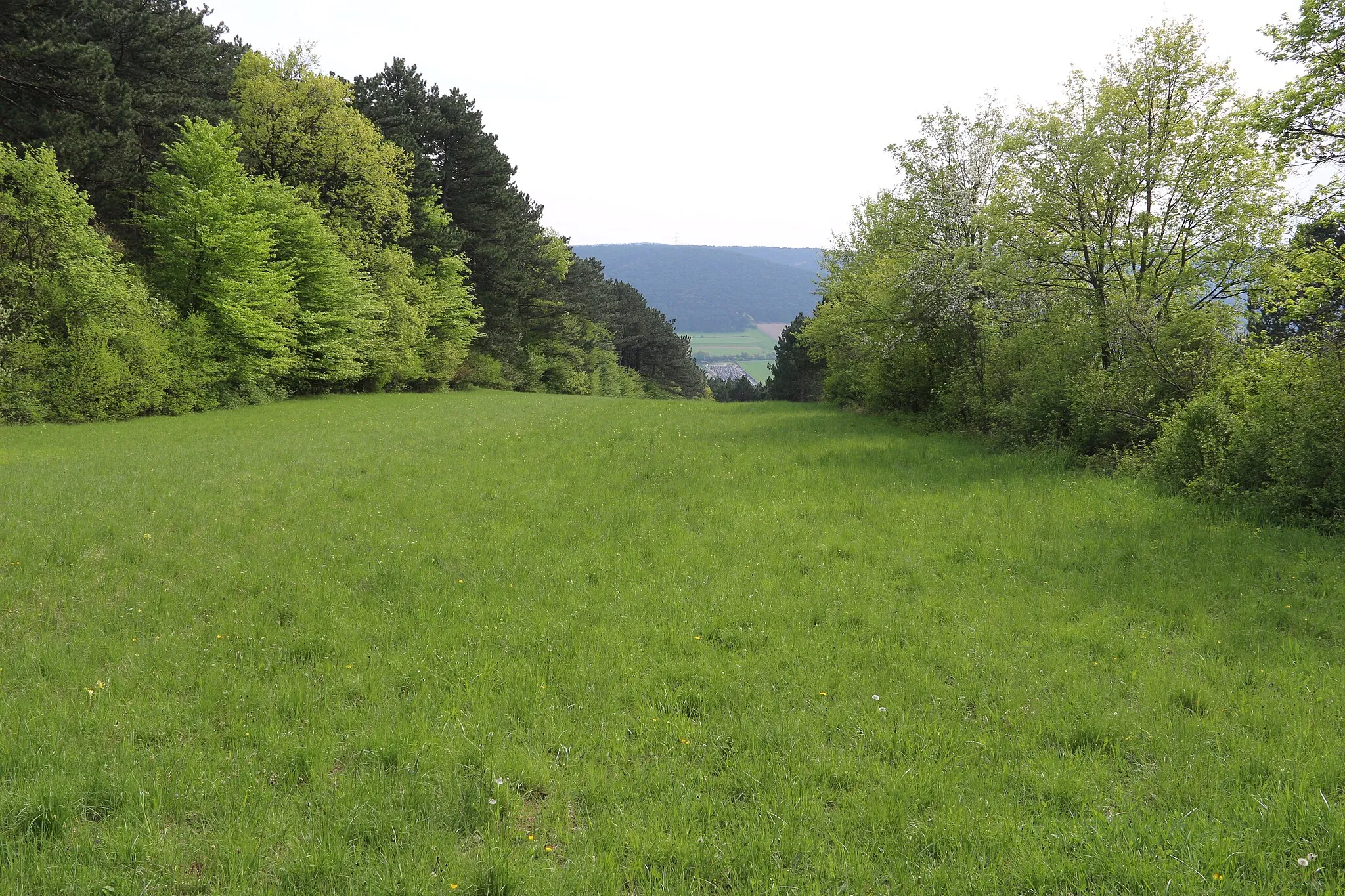 Photo showing: This media shows the natural monument in Lower Austria  with the ID WB-105.