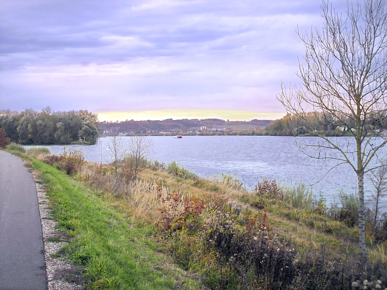 Photo showing: Die Donau bei Albing, Blick aus Ost.