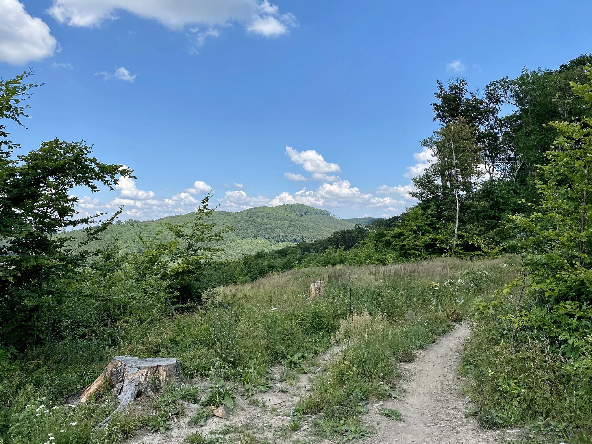 Photo showing: Blick von Zwei Gehängte auf den Hermannskogel in Wien.