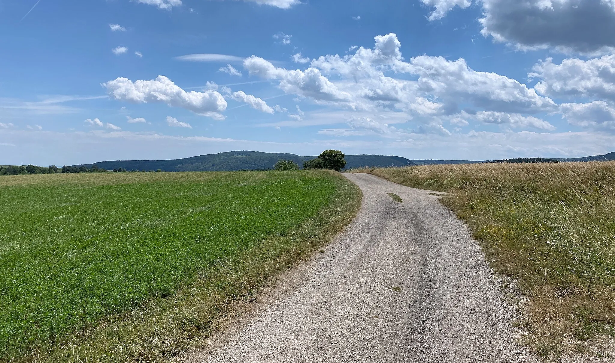 Photo showing: Ein Feldweg nördlich von Ödlitz. Blickrichtung Nordwesten Südosten.