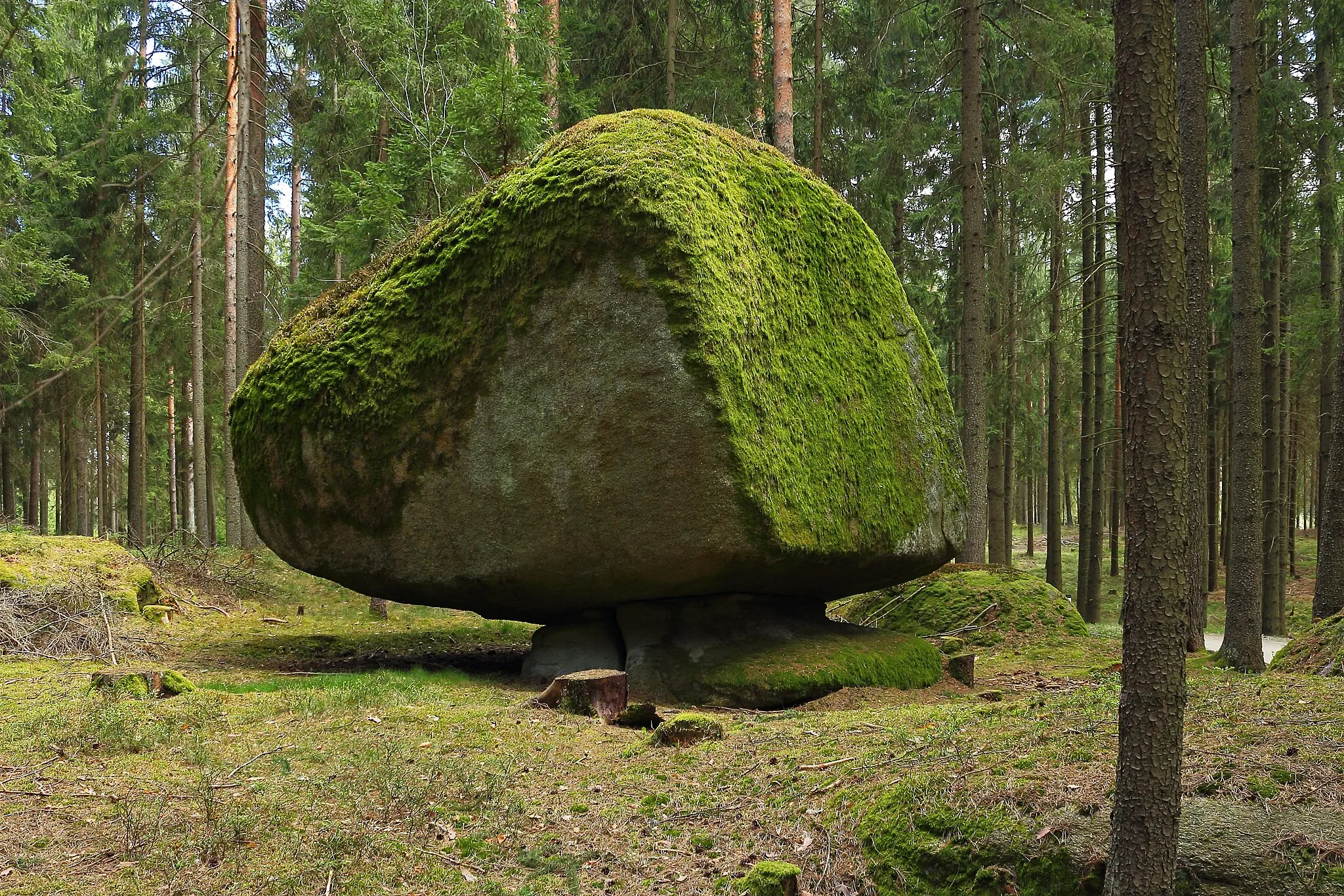 Photo showing: This media shows the natural monument in Lower Austria  with the ID GD-102.