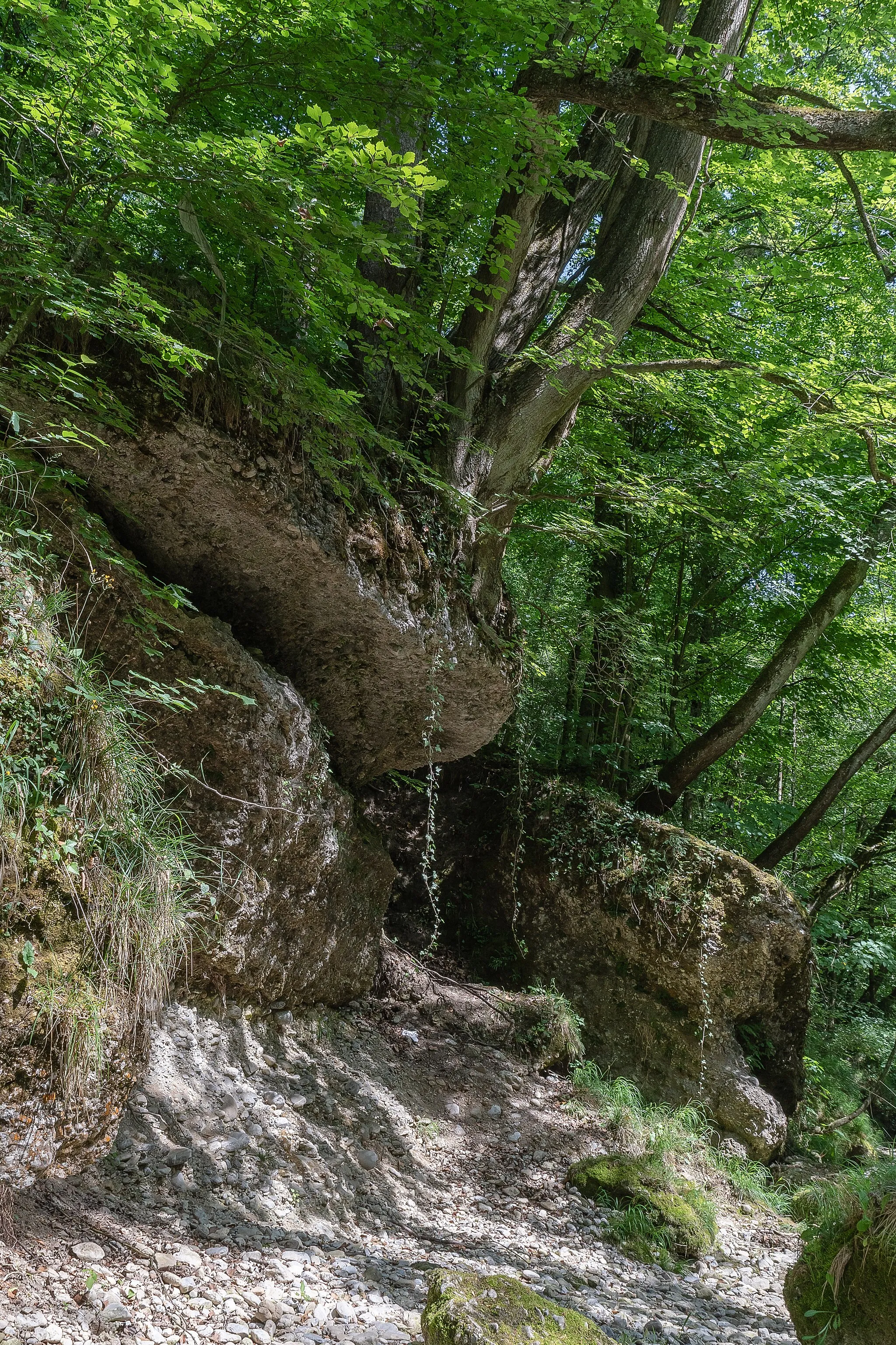 Photo showing: The Erlauf canyon is protected as natural monument of Lower Austria. It is part of the Natura 2000 area (FFH) Niederösterreichische Voralpenflüsse (Site Code: AT-1219000).