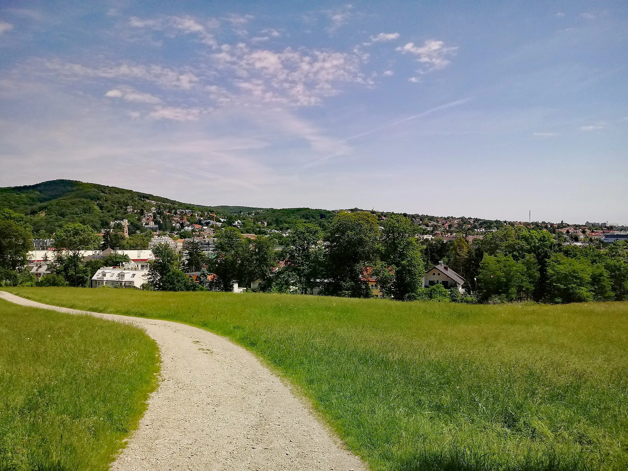 Photo showing: Blick vom Lainzer Tiergarten auf Hütteldorf in Wien