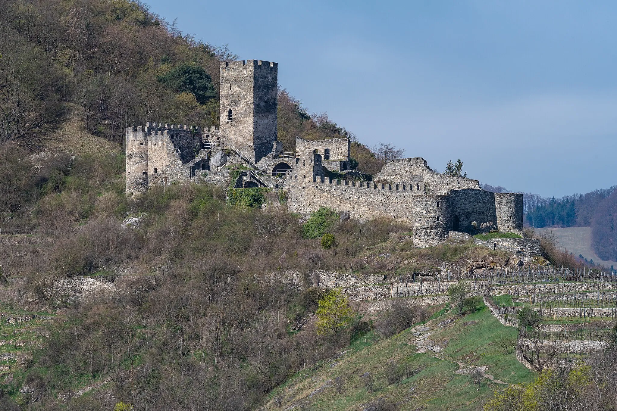 Photo showing: The ruin of castle Hinterhaus is located on a ridge over the Wachau valley in Spitz (Lower Austria).