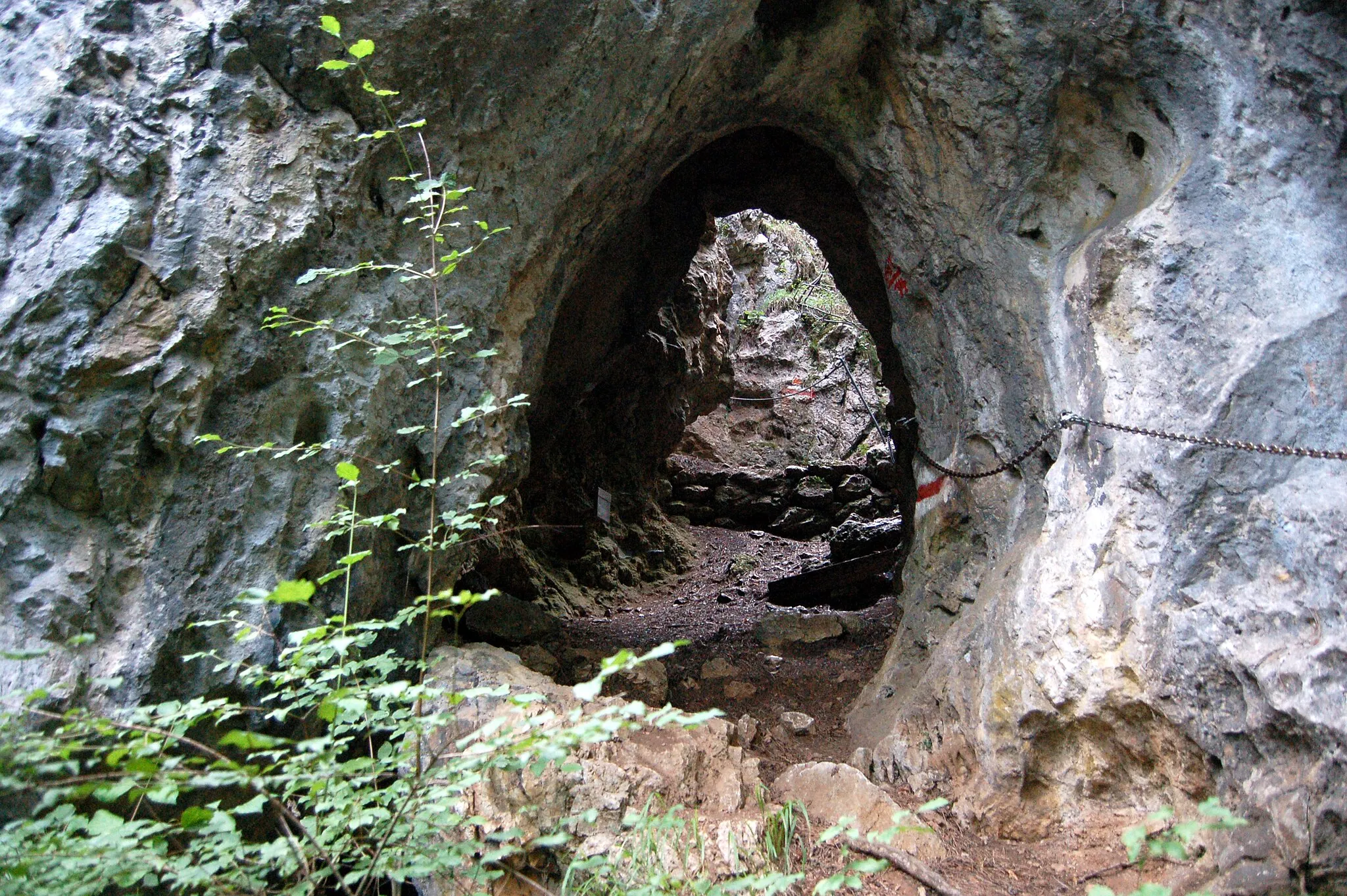 Photo showing: Schiebbogen (1861/14), a cave in the Flatzer Wand, Lower Austria. The Fürststeig, an easy trail, traverses this cave.