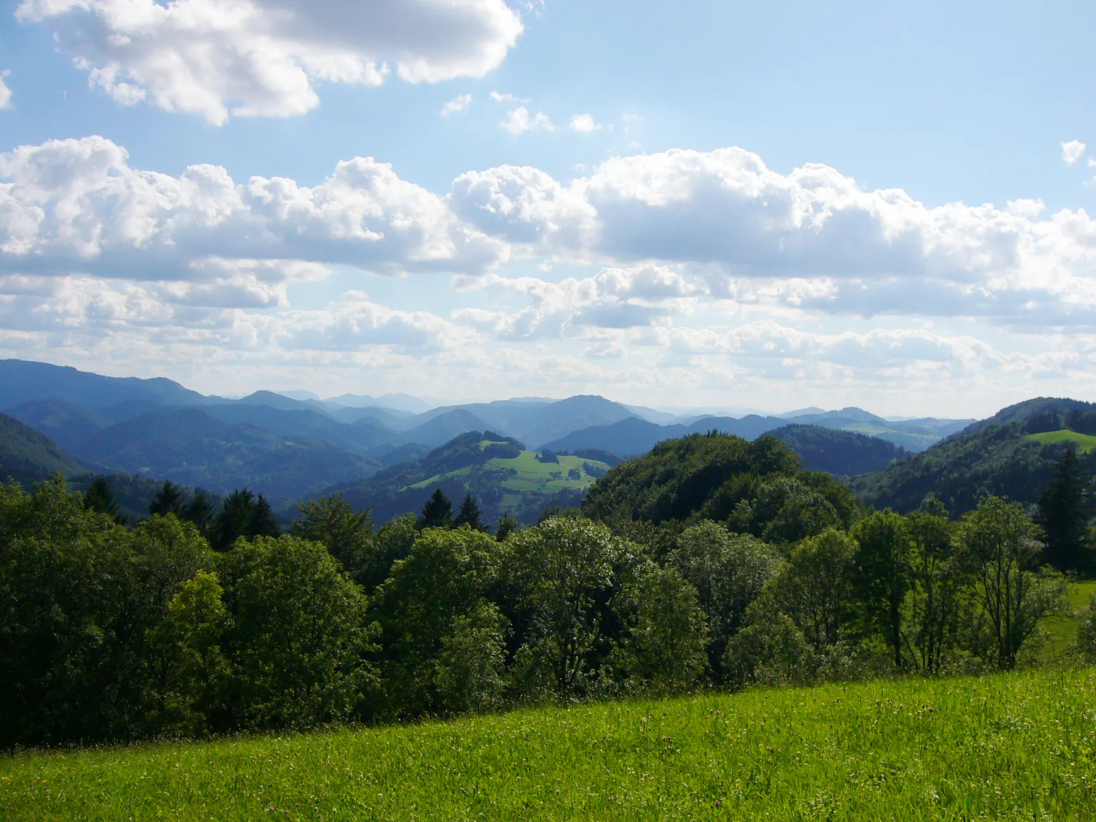 Photo showing: the eisenwurzen in lower austria, near St. Anton an der Jeßnitz, probably viewed from Wohlfahrtsschlag