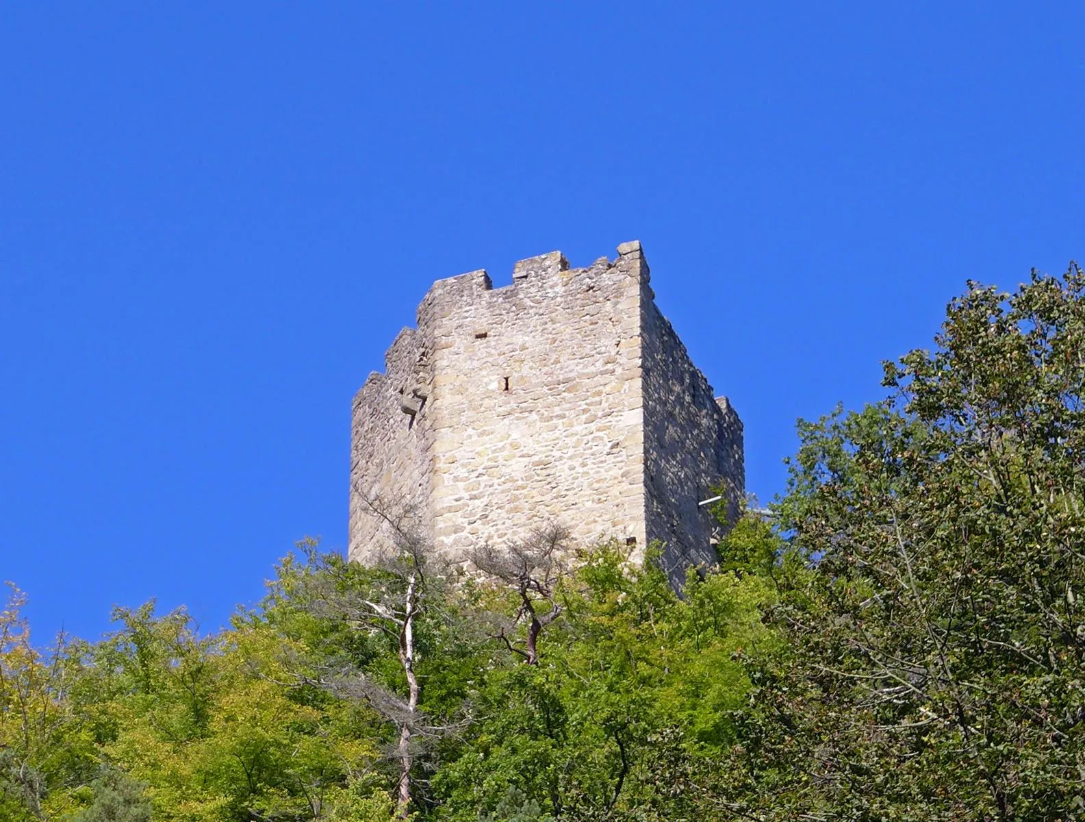 Photo showing: Burgruine Freyenstein in Niederoesterreich (Austria). Bergfried (Halsgraben-Einzelturm)