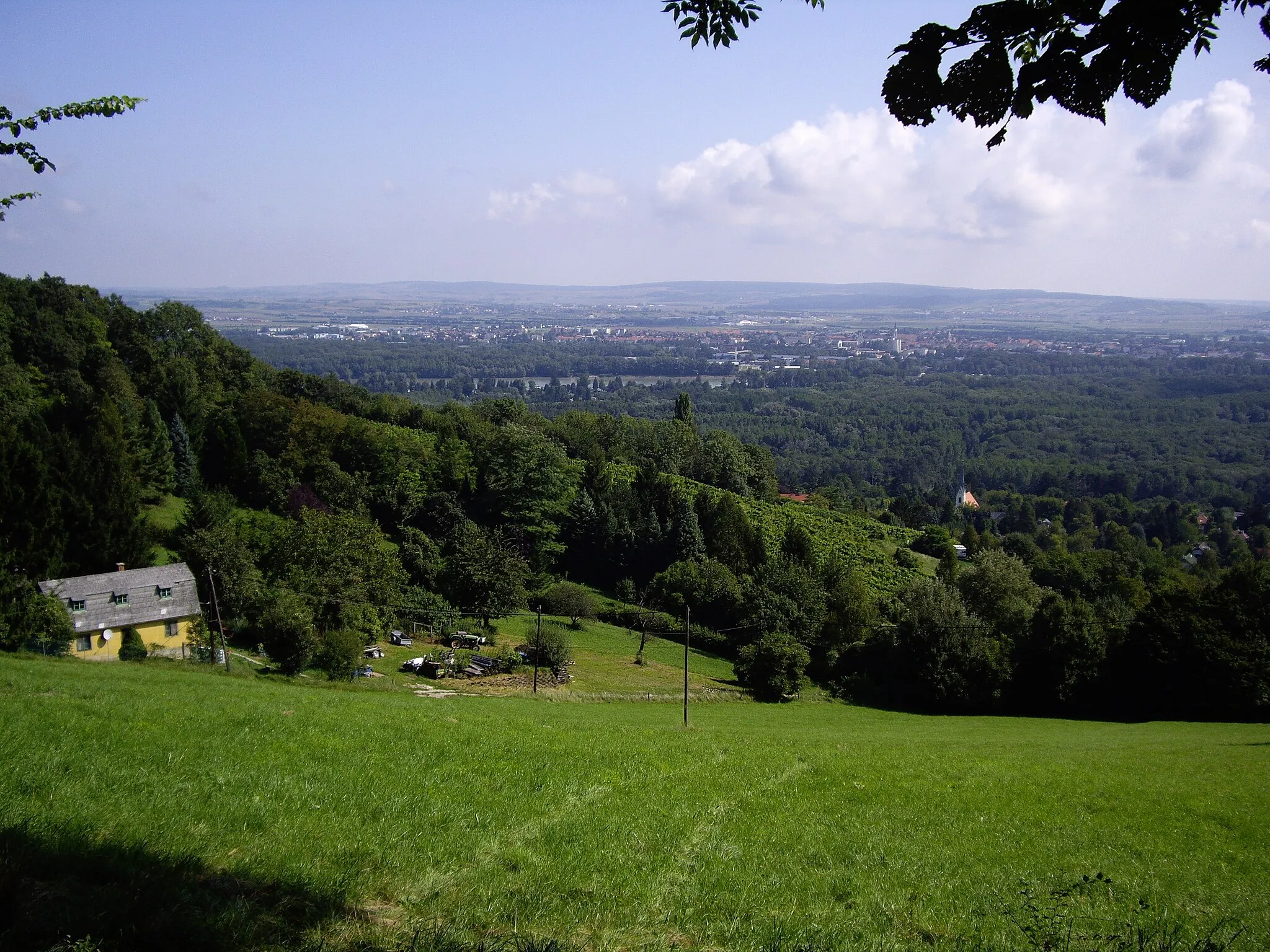 Photo showing: Das ist das grüne Kritzendorf, im Hintergrund ist nach der Donau-Au die Donau zu sehen.