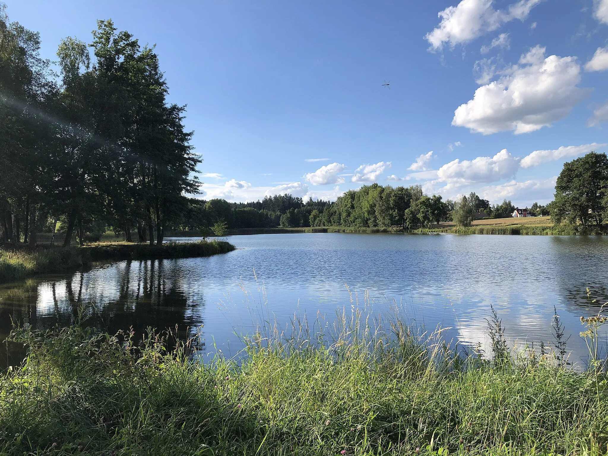 Photo showing: Flohteich in Pfaffenschlag