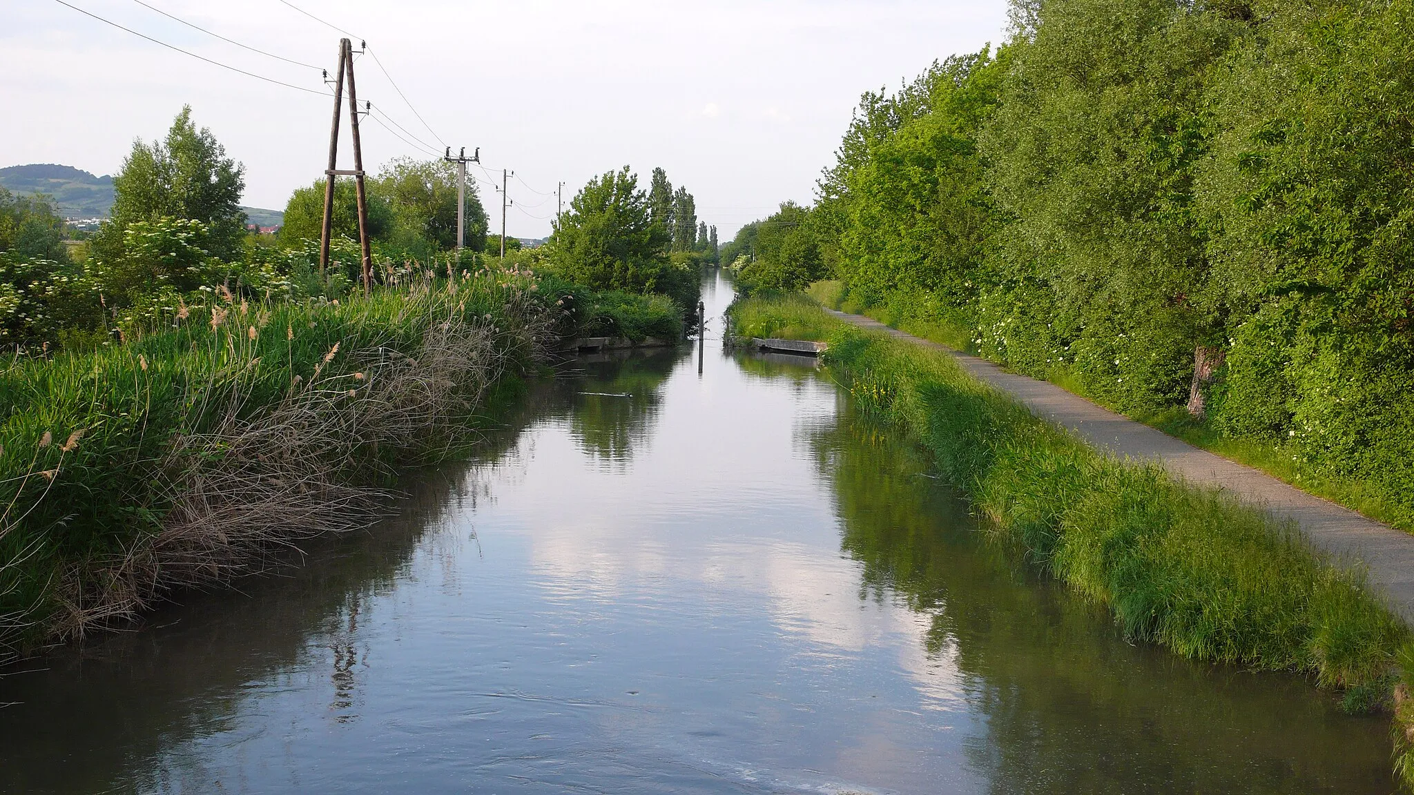 Photo showing: Wiener Neustädter Kanal in Traiskirchen