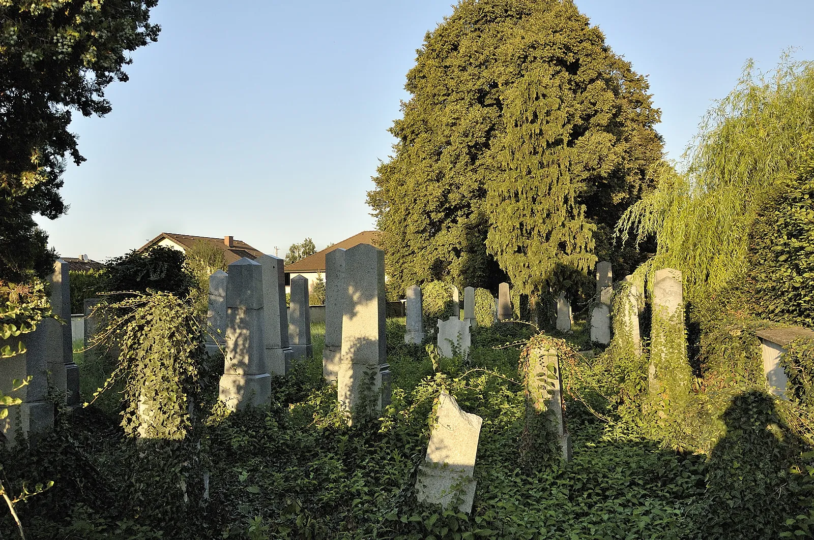 Photo showing: Jüdischer Friedhof