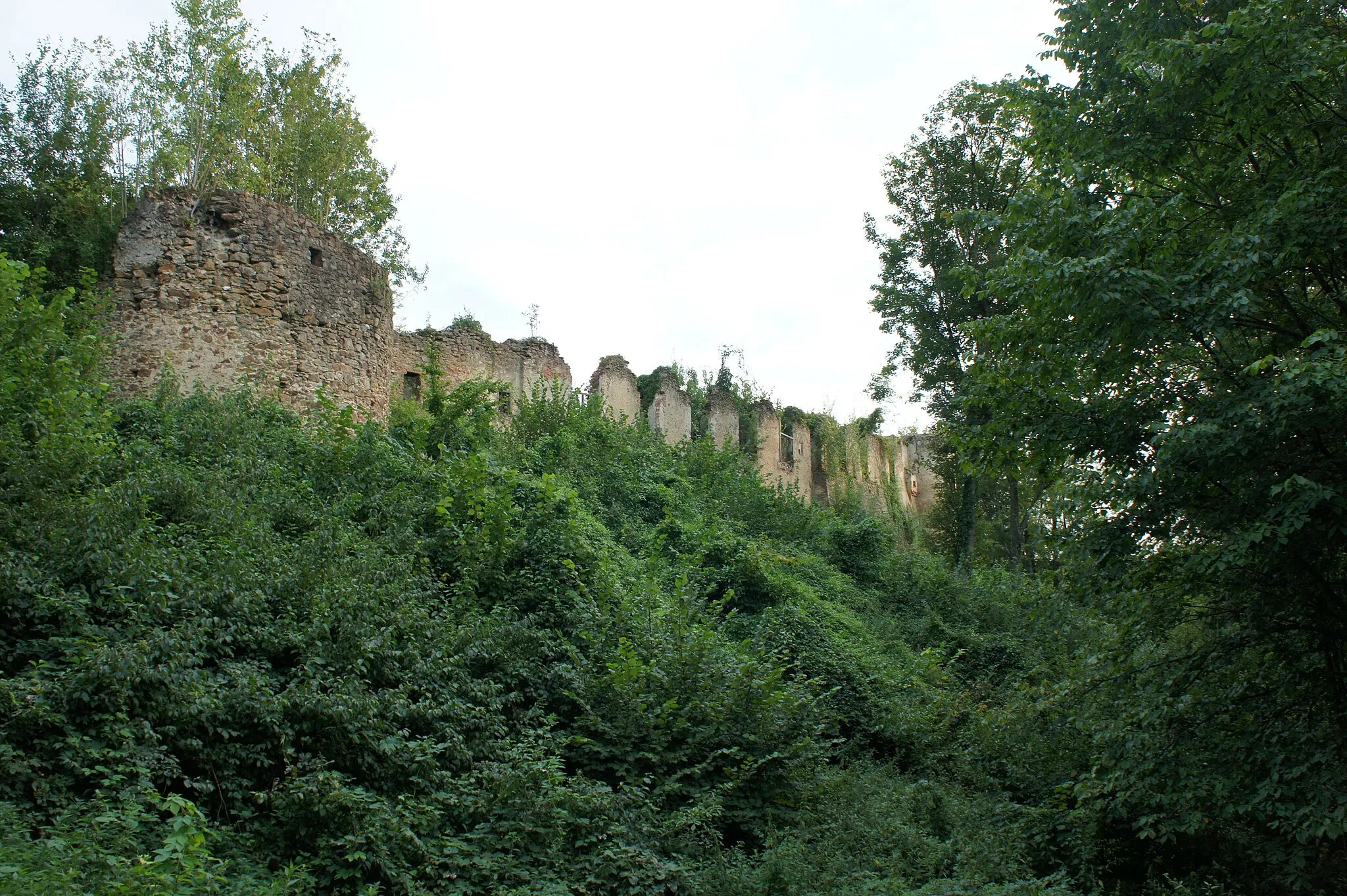 Photo showing: Castle ruin Bärnegg, Elsenau, Schäffern, Austria