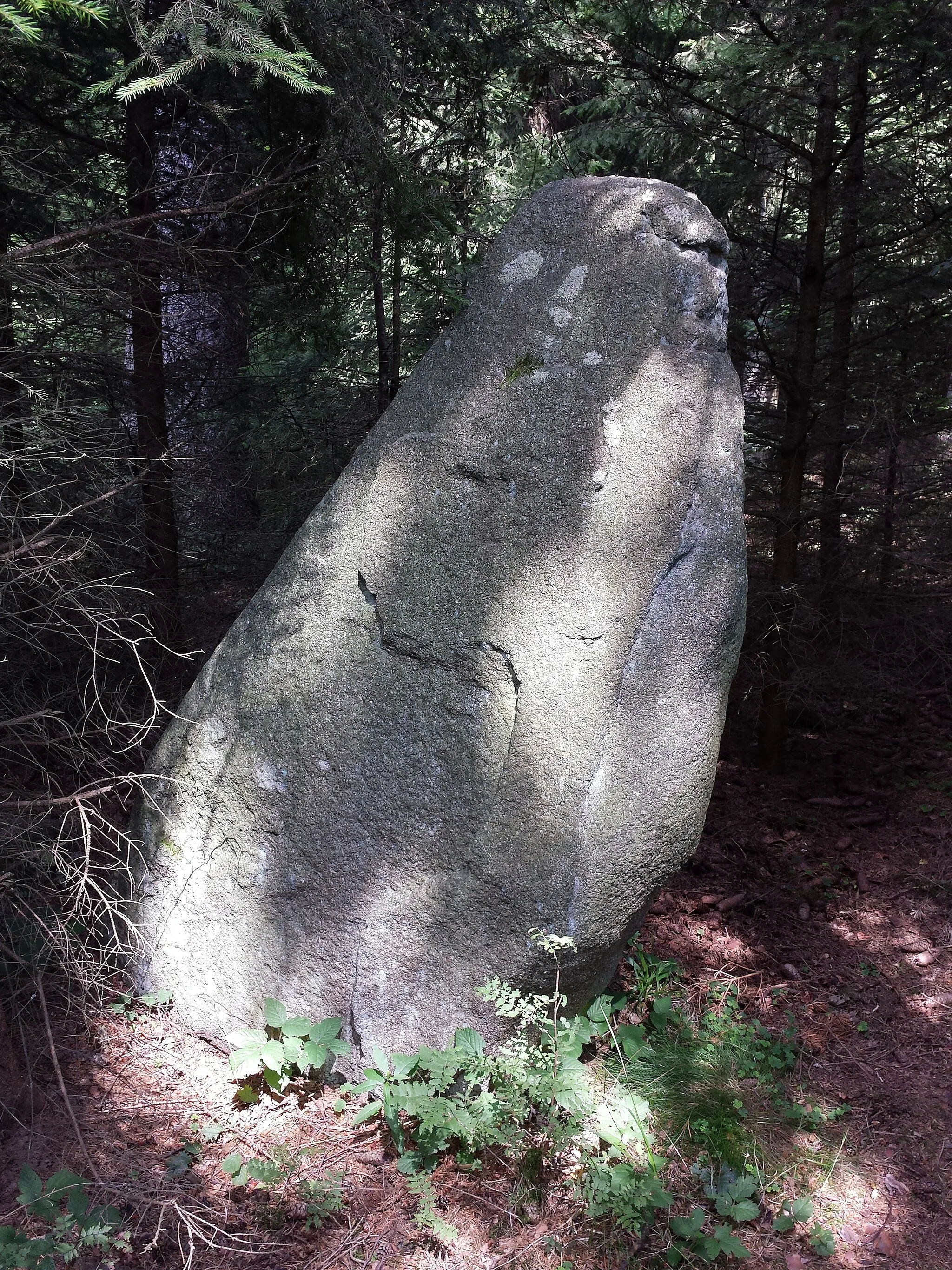 Photo showing: This media shows the natural monument in Lower Austria  with the ID GD-134.