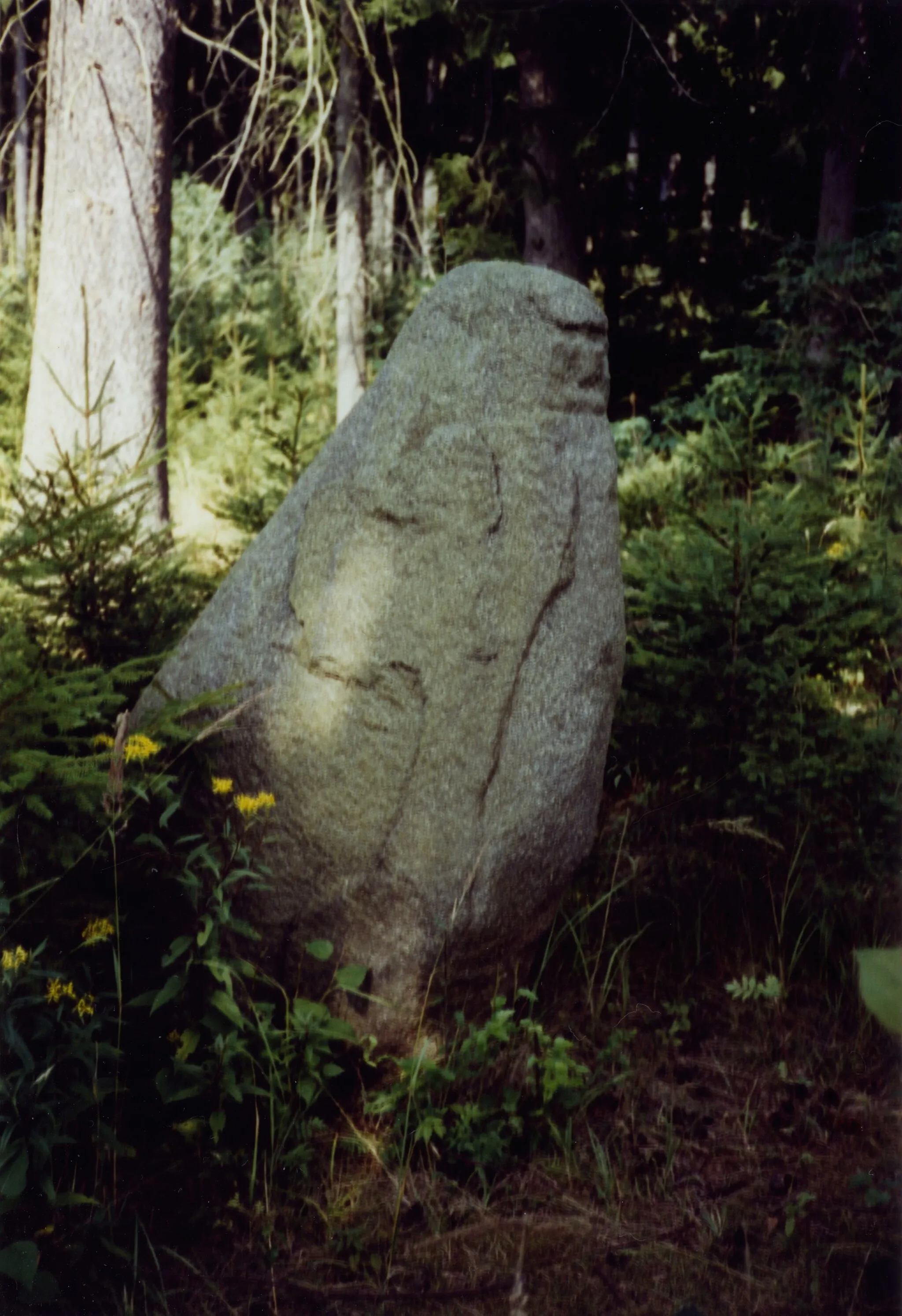 Photo showing: Natural monument GD-134 Steinernes Weib near Wolfsegg, district Gmünd, Lower Austria