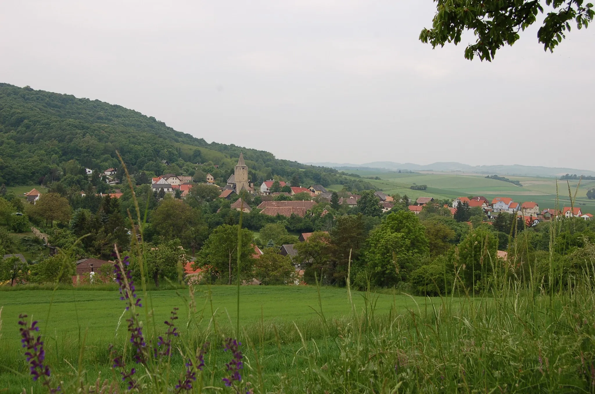 Photo showing: Michelstetten, Niederösterreich/Lower Austria