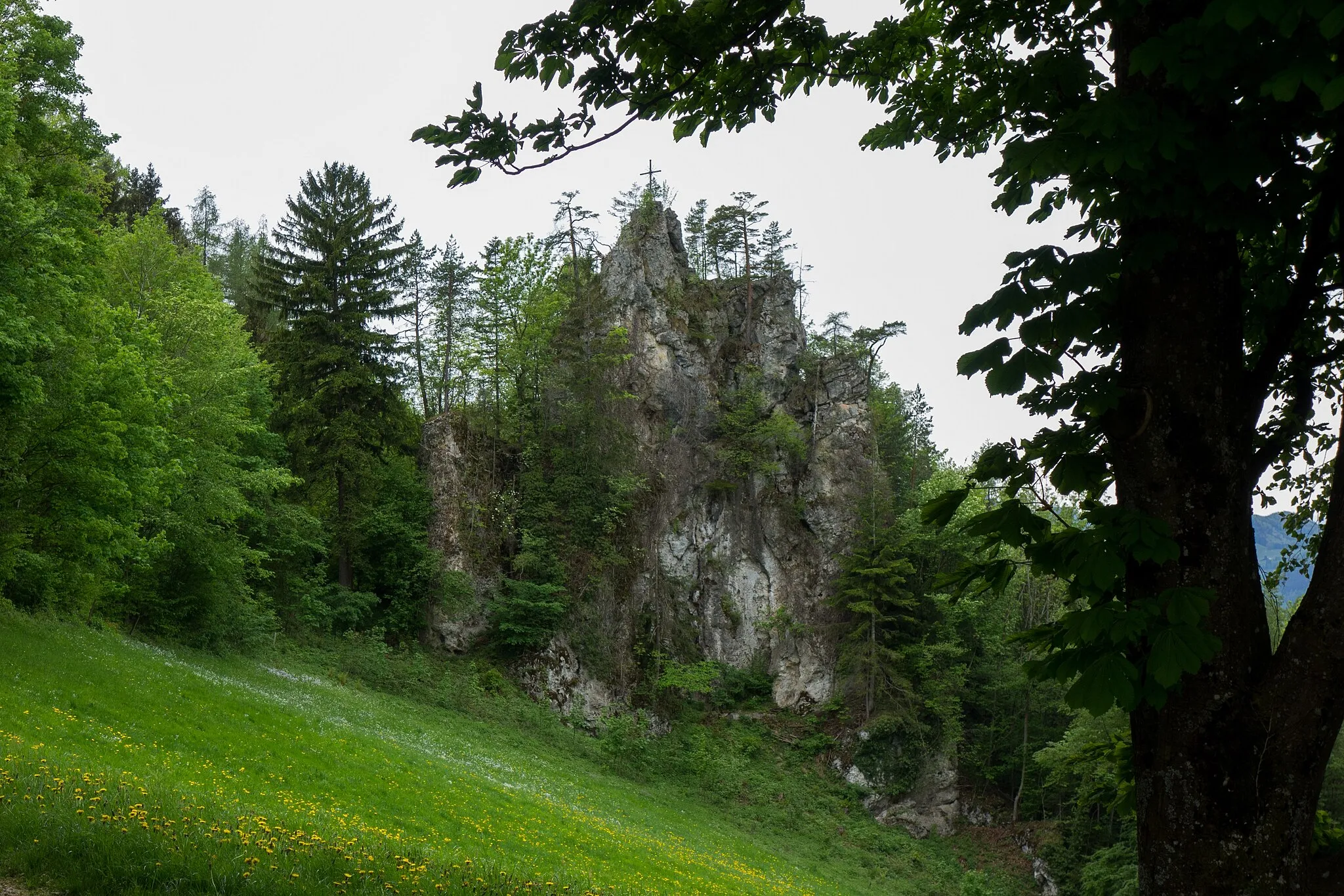 Photo showing: This media shows the natural monument in Upper Austria  with the ID nd334.
