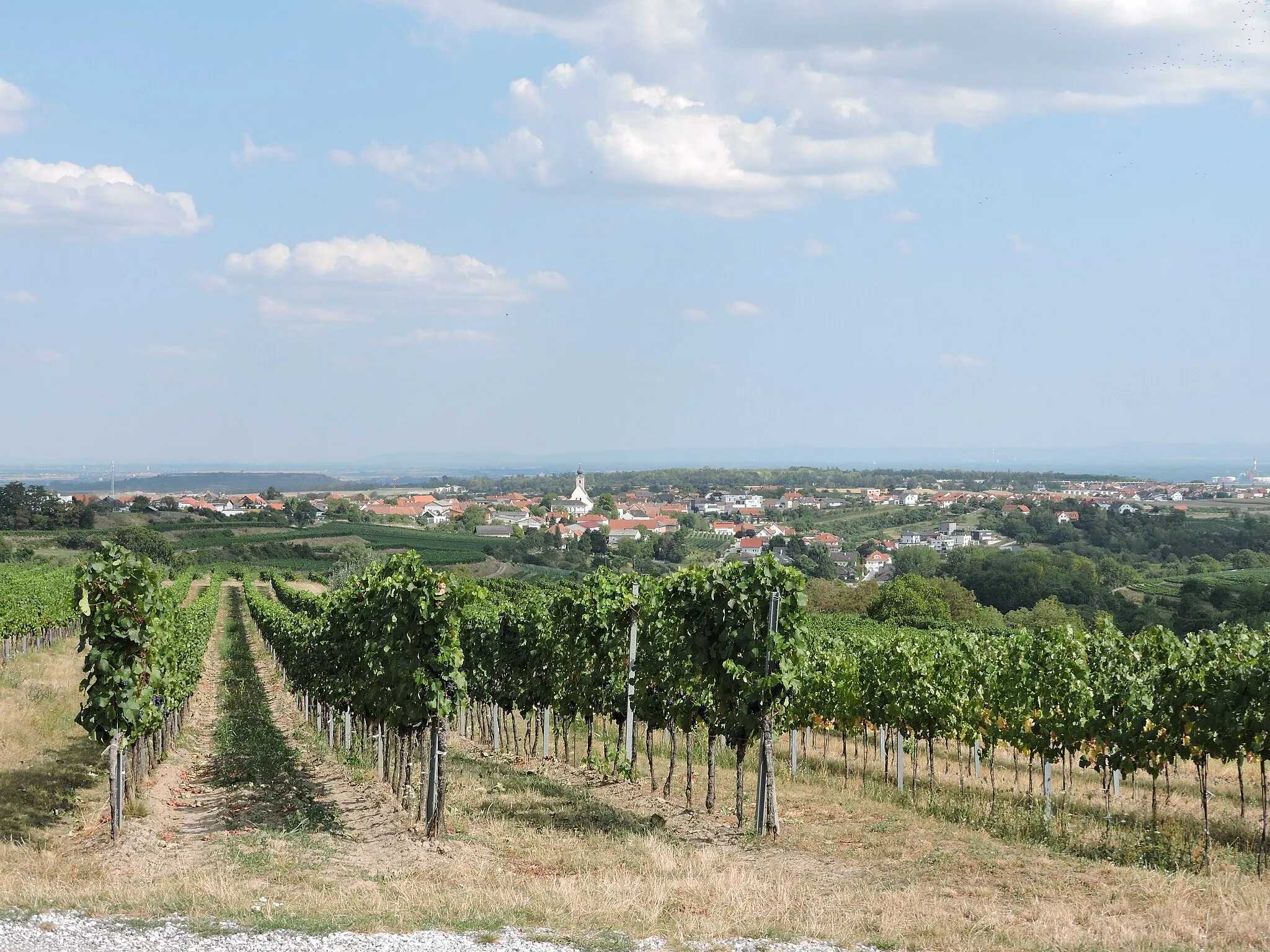 Photo showing: Stratzing von der Riede "Obere Sätzen" an der Gemeindegrenze zu Senftenberg (Priel)