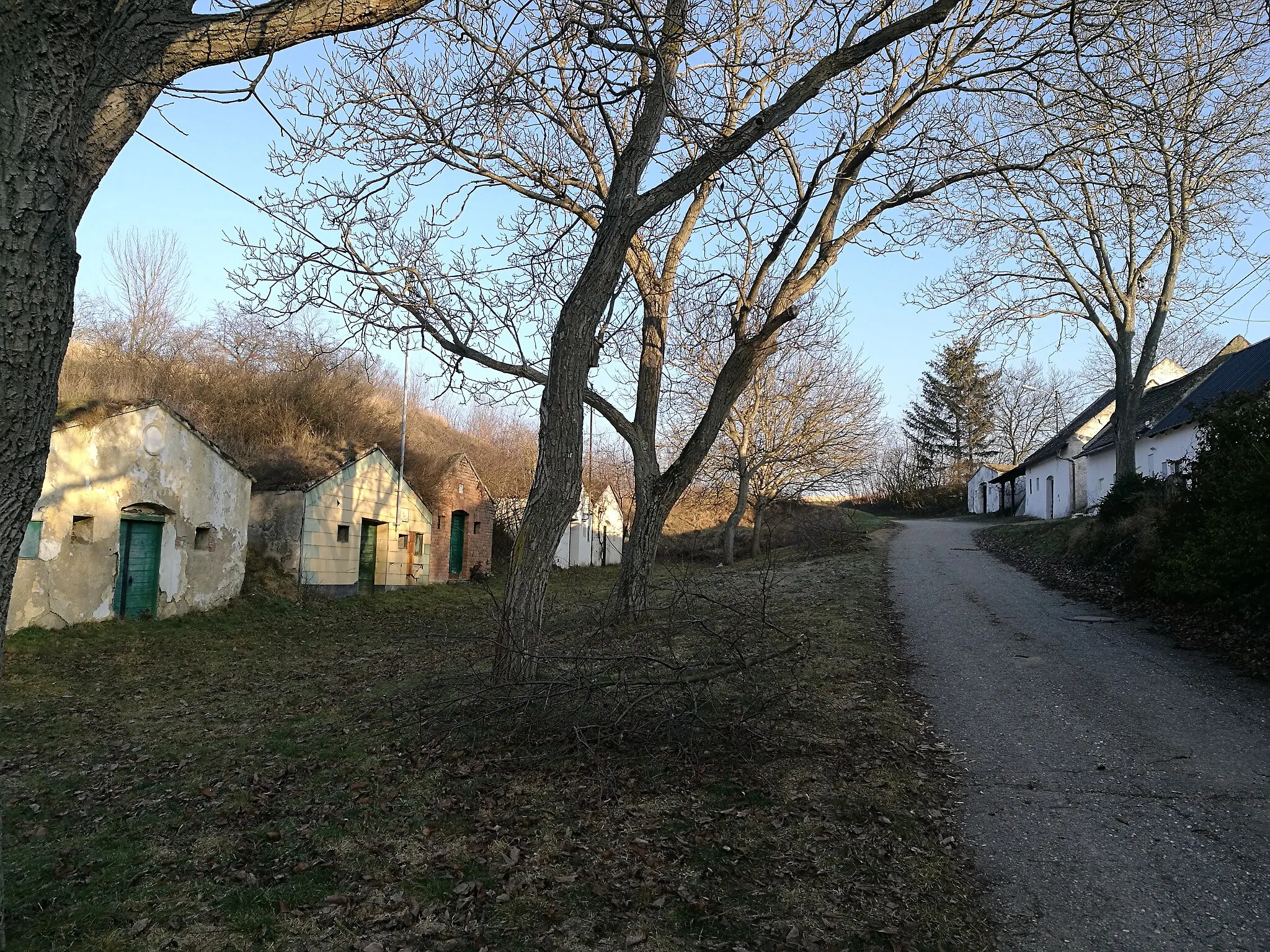 Photo showing: Kellergasse „Voitelsbrunner Straße“ in der KG Steinebrunn in Drasenhofen