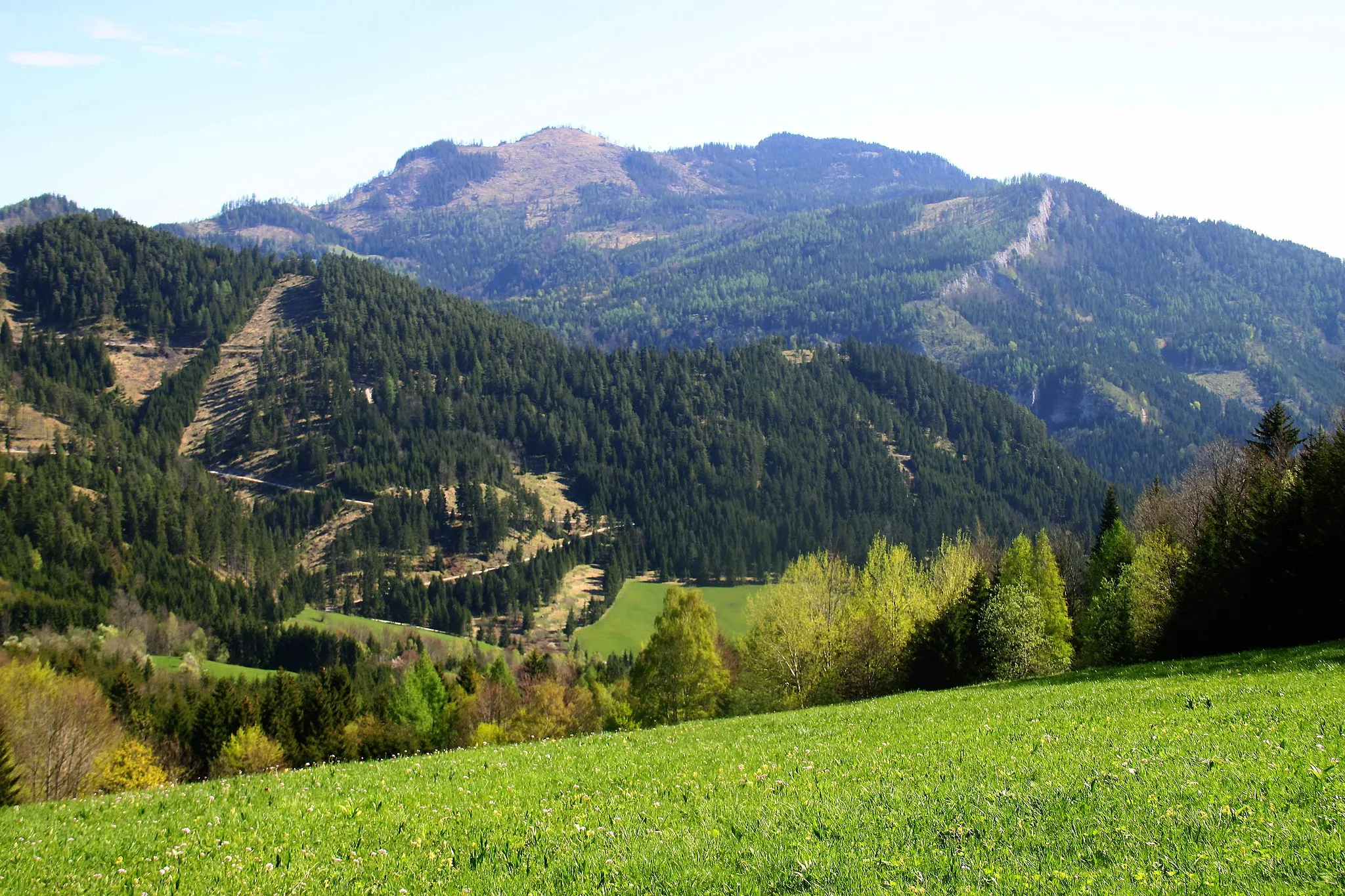 Photo showing: Handlesberg von Südwesten (Gehöft Obersberger), der Handlesberg-Gipfel ist die bewaldete Erhebung rechts der Mitte, rechts darunter die Lange Wand, links (mit Kahlschlag oder Windwurf) die Rückseite der Freudentaler Mauer, im Vordergrund links der Hirschkogel