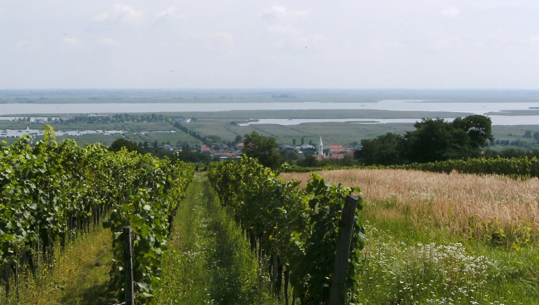 Photo showing: View of Moerbisch am See (Burgenland, Austria) from the west.