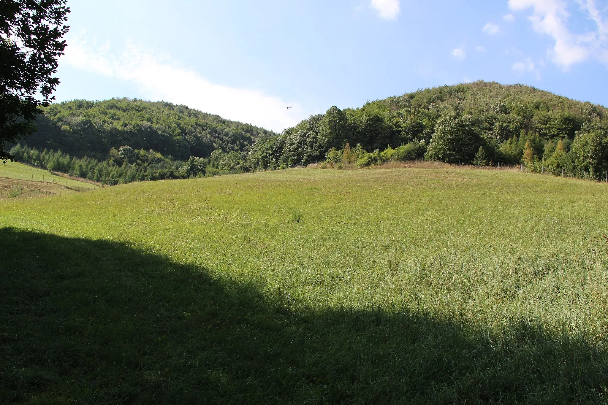 Photo showing: This media shows the natural monument in Lower Austria  with the ID BN-158.