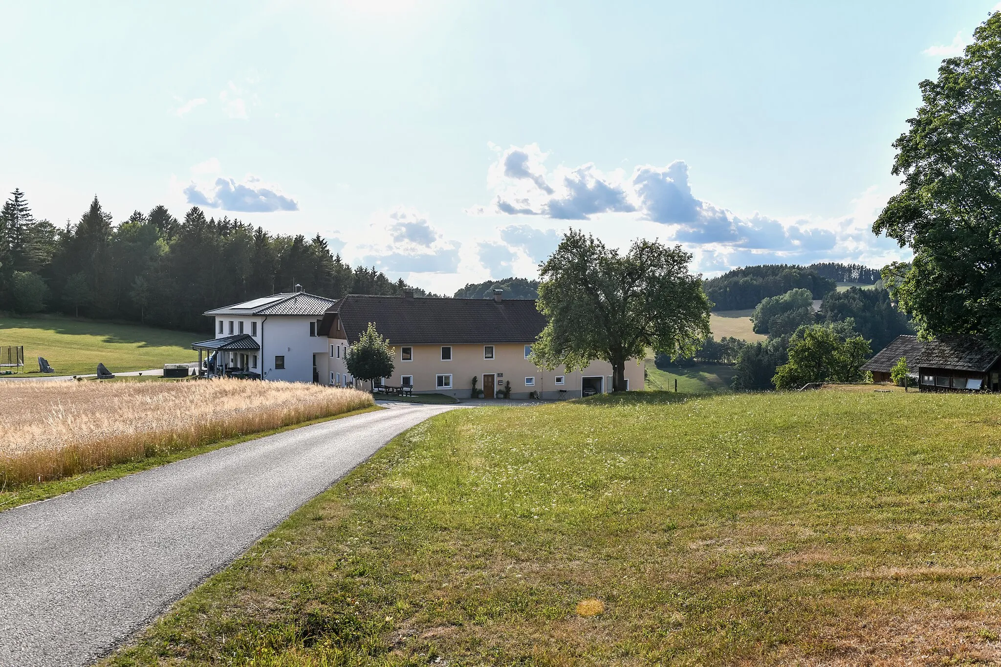 Photo showing: Gutau, 22. Juli 2023:  Erdmannsdorf 11, Walchslehner