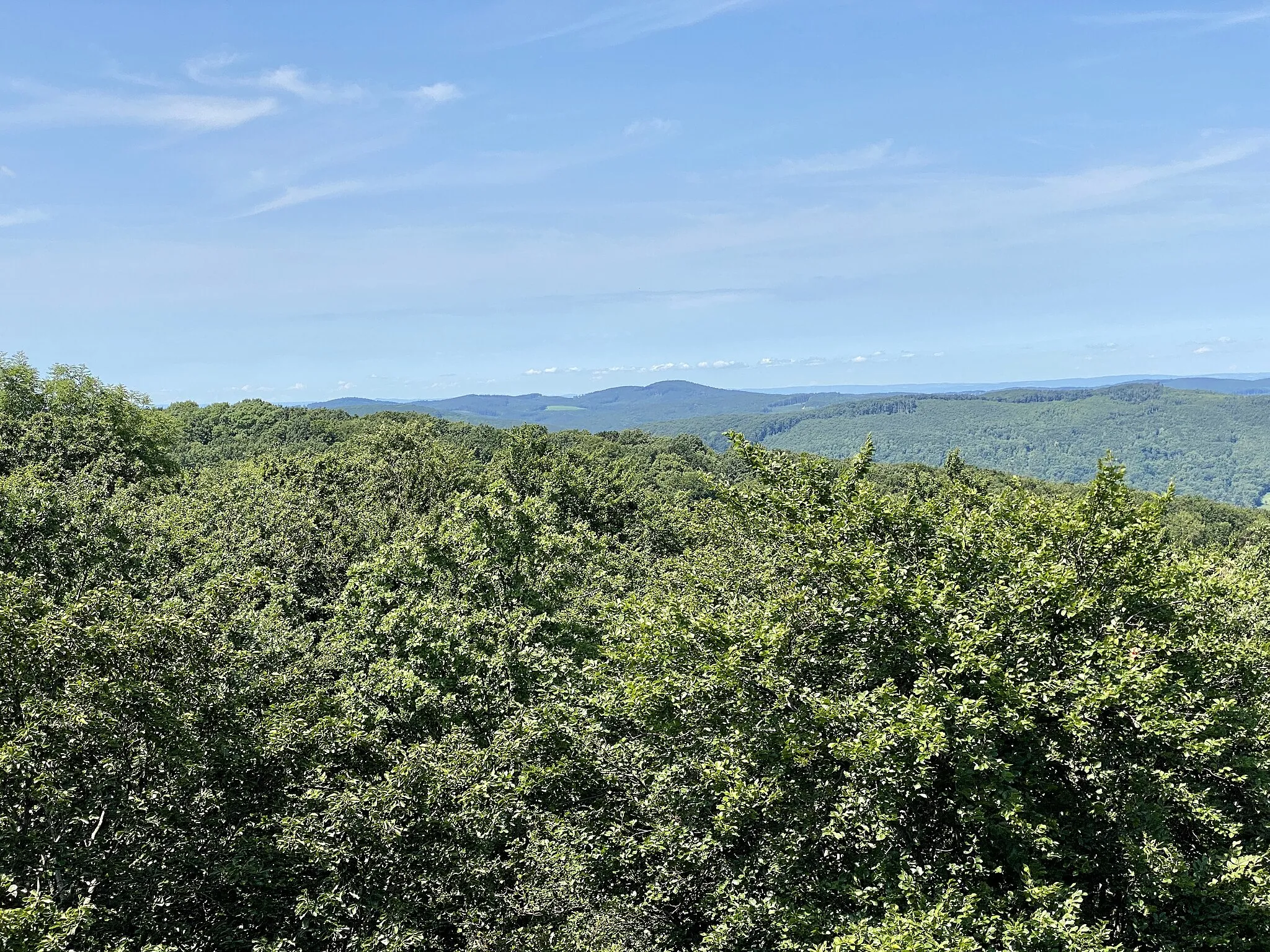 Photo showing: Blick von der Hubertuswarte im Lainzer Tiergarten in Wien Richtung Nordwesten.