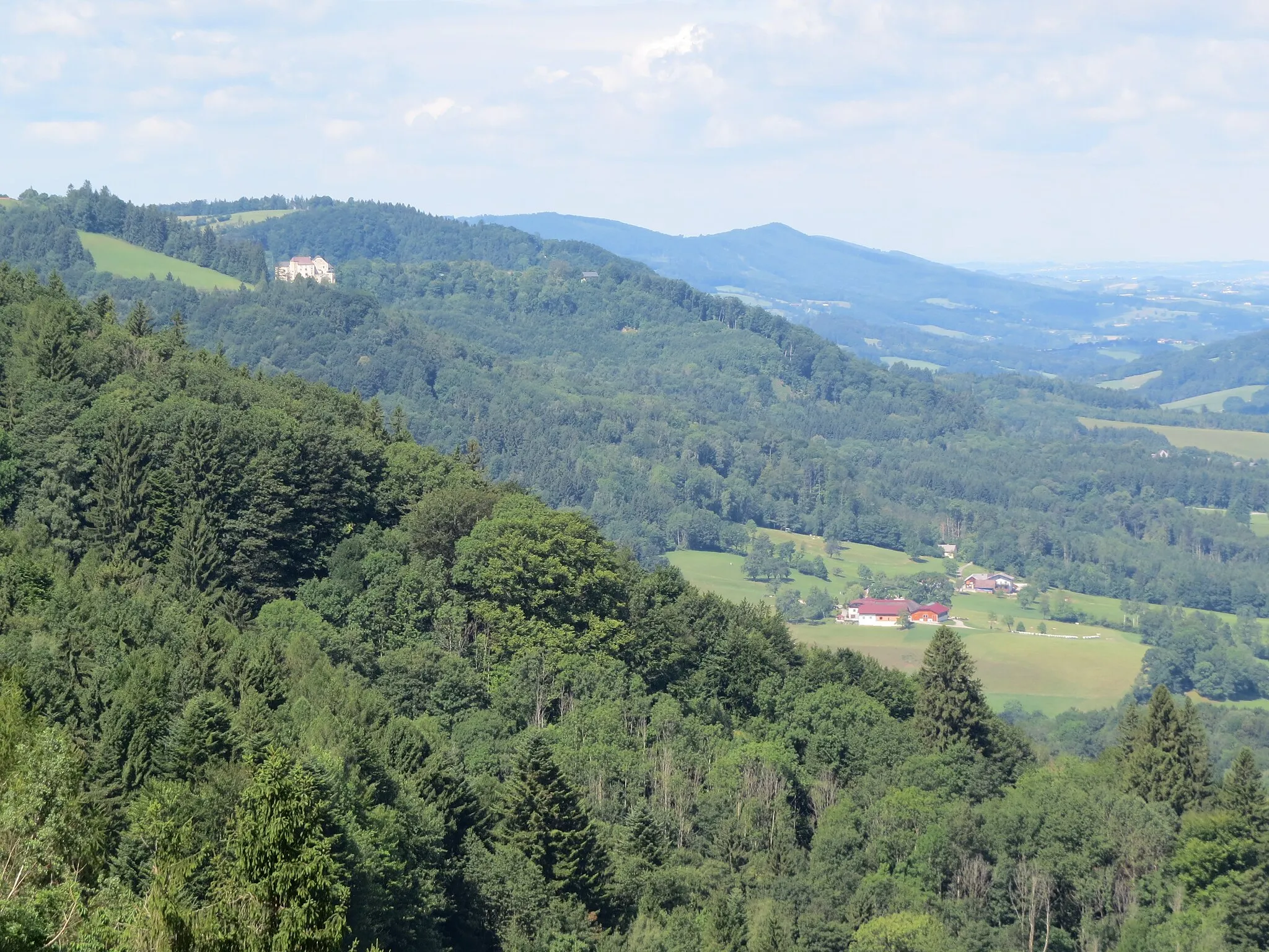 Photo showing: 2017-07-28 Wanderung rund um den Haltgraben in Frankenfels