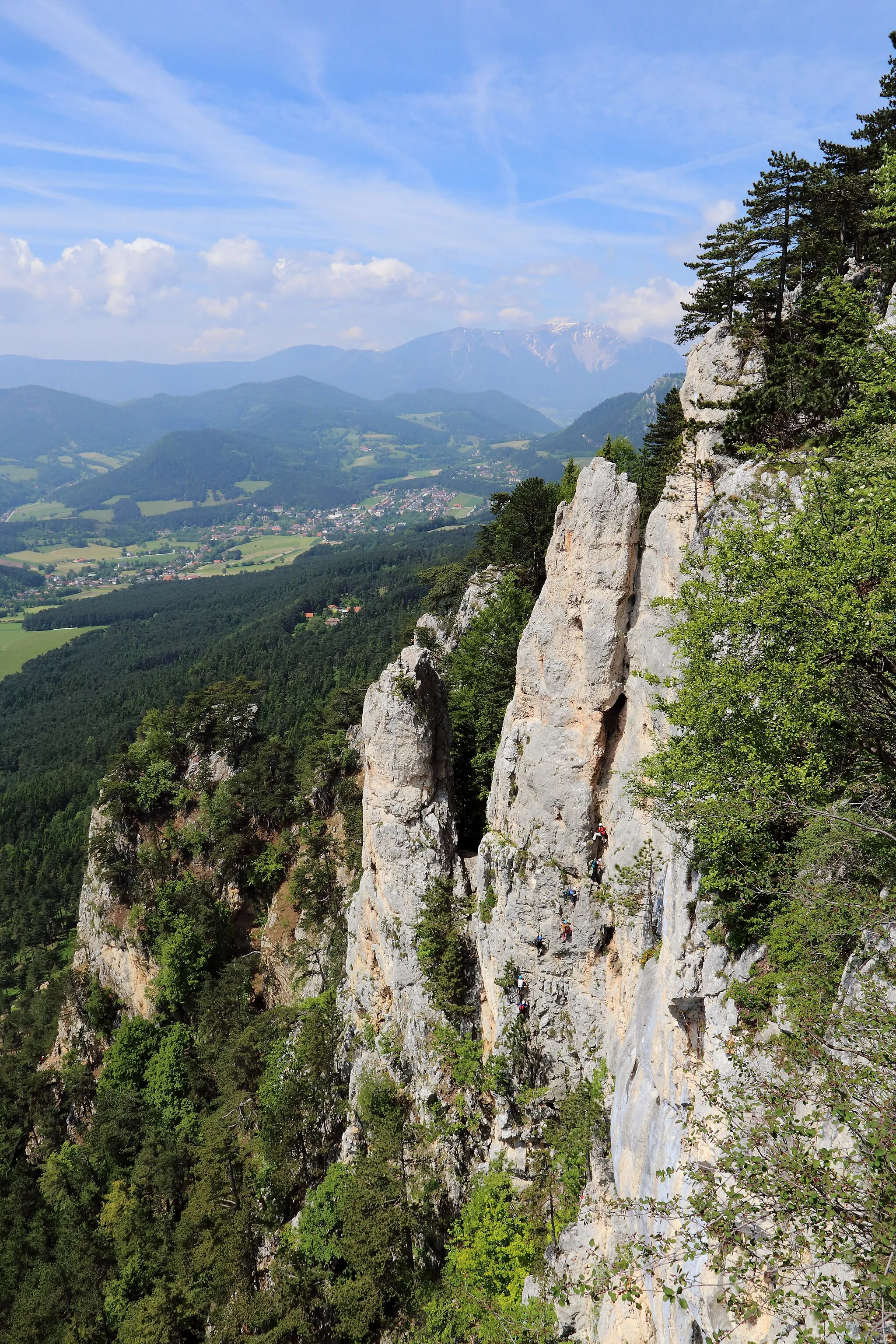 Photo showing: Die Hohe Wand Richtung Westen im Bereich zwischen dem Hubertushaus und der Großen Kanzel. Im Vordergrund links der Weningerturm, über den der 2013 eröffnete Gebirgsvereinssteig führt (einer der längster Klettersteige der Hohen Wand und erster im östlichen Niederösterreichs mit einer Seilbrücke). Etwas links der Bildmitte der Baumgartnerturm, rechts davon der Wildenauerturm, der durch den klassischen Wildenauersteig (1919 eröffnet) erschlossen ist und ganz rechts die Hochfallwand. Im Hintergrund Grünbach am Schneeberg und wiederum dahinter der noch leicht schneebedeckte Schneeberg, Niederösterreichs höchster Berg.