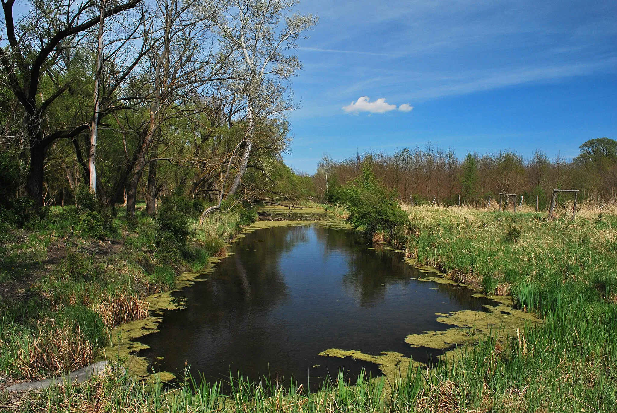 Photo showing: NPR Cahnov - Soutok