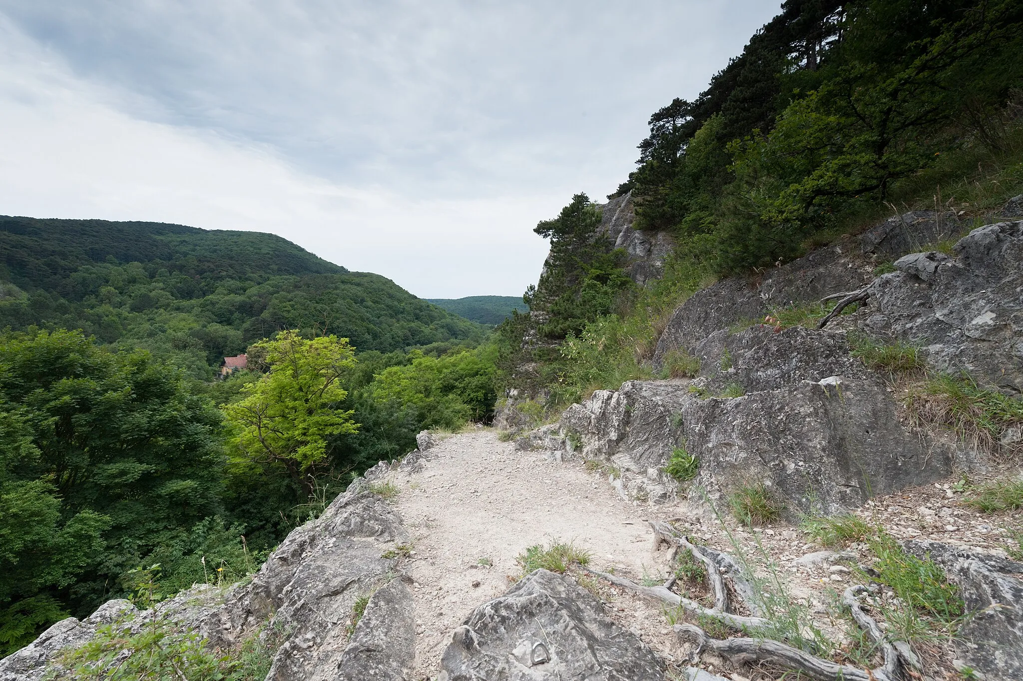 Photo showing: This media shows the natural monument in Vienna  with the ID 716.