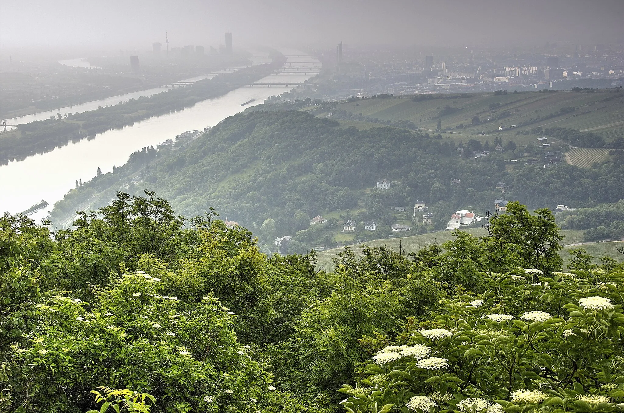 Photo showing: Burgstall vom Leopoldsberg