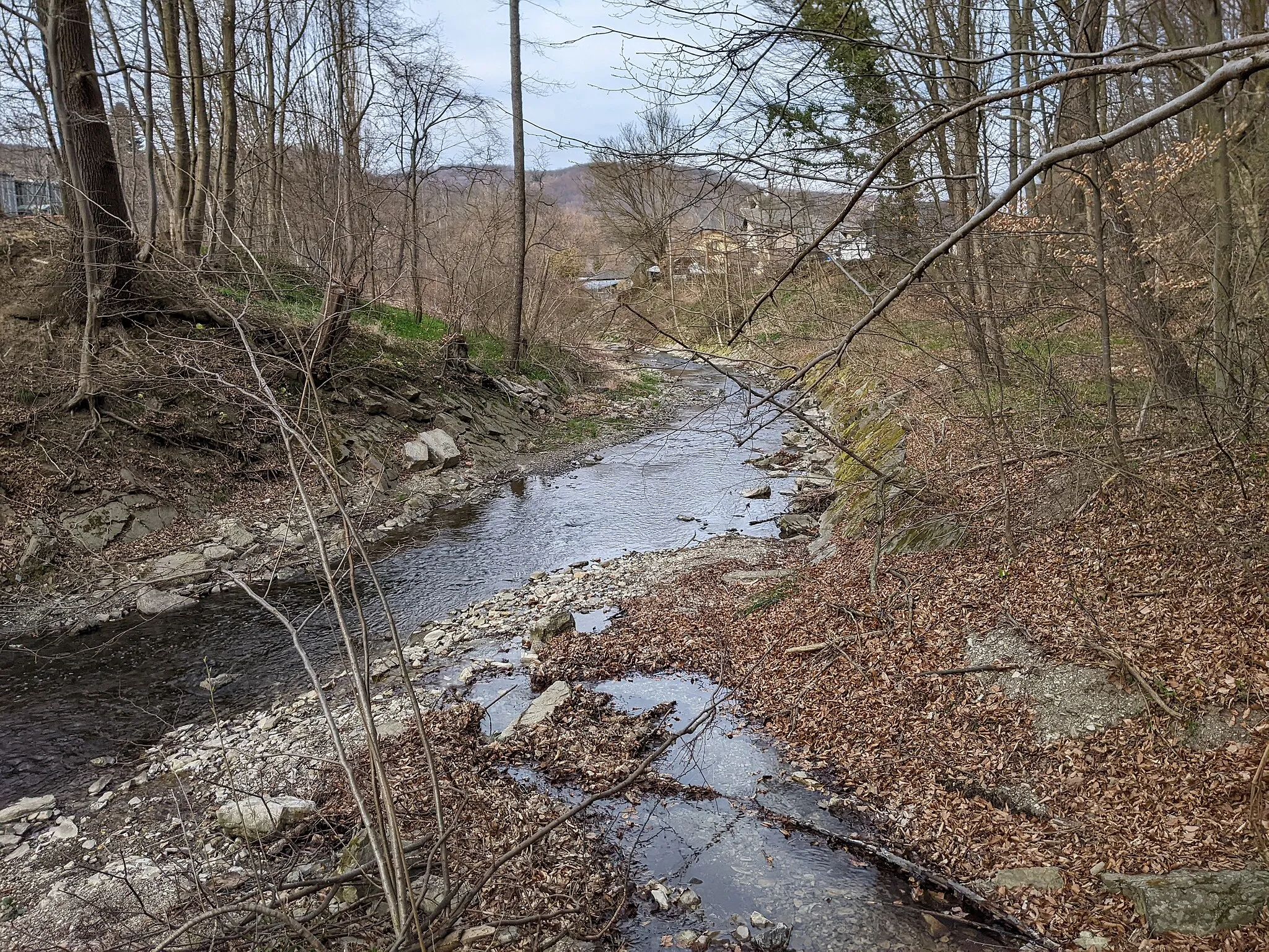 Photo showing: Dambach (rechts), Eimündung in den Wienfluss.