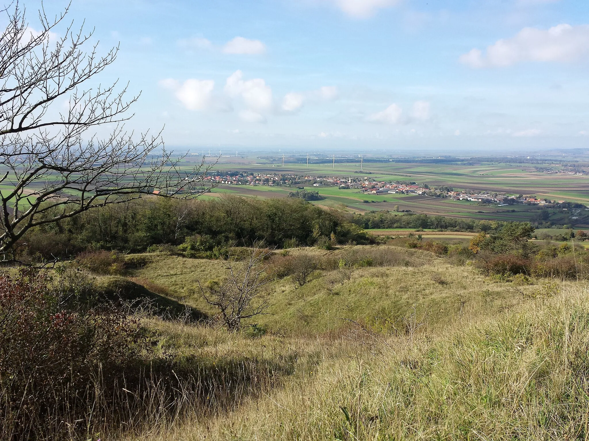 Photo showing: Waschberg near Leitzersdorf, district Korneuburg, Lower Austria - 388 m a.s.l.
Semi dry grassland, view towards Leitzersdorf