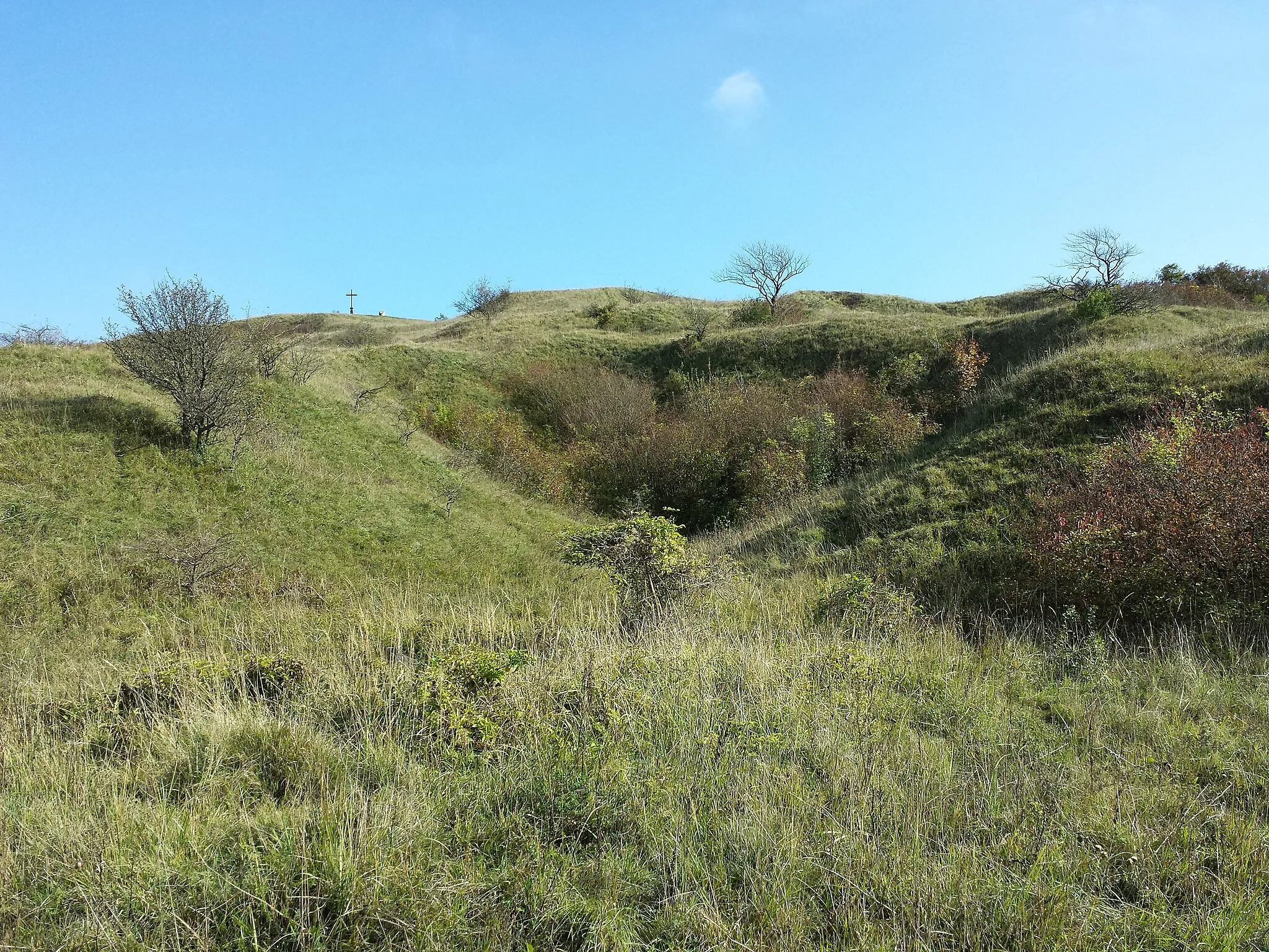 Photo showing: Waschberg near Leitzersdorf, district Korneuburg, Lower Austria - 388 m a.s.l.
Semi dry grassland