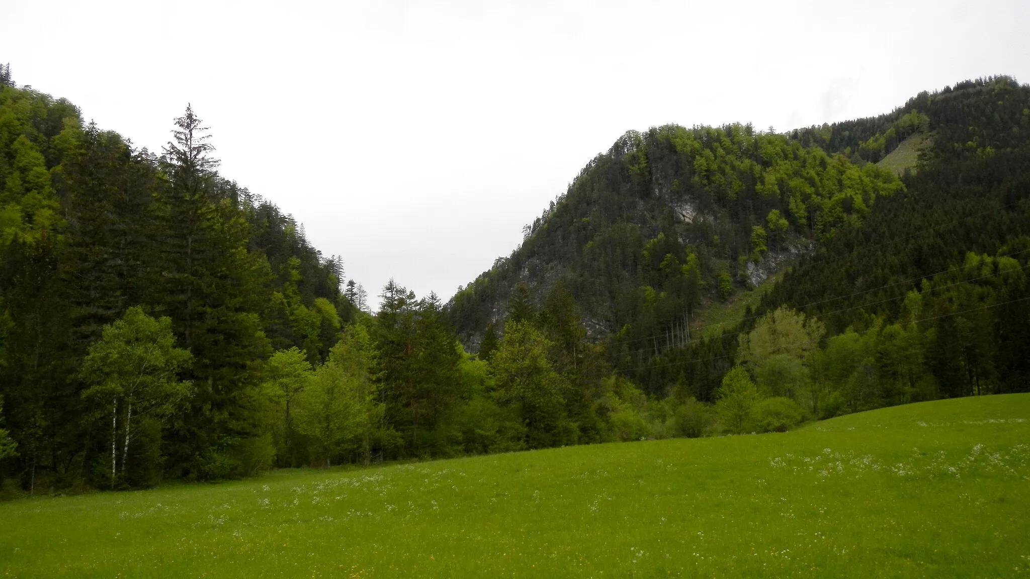 Photo showing: Wiesenfläche im Erlaufboden