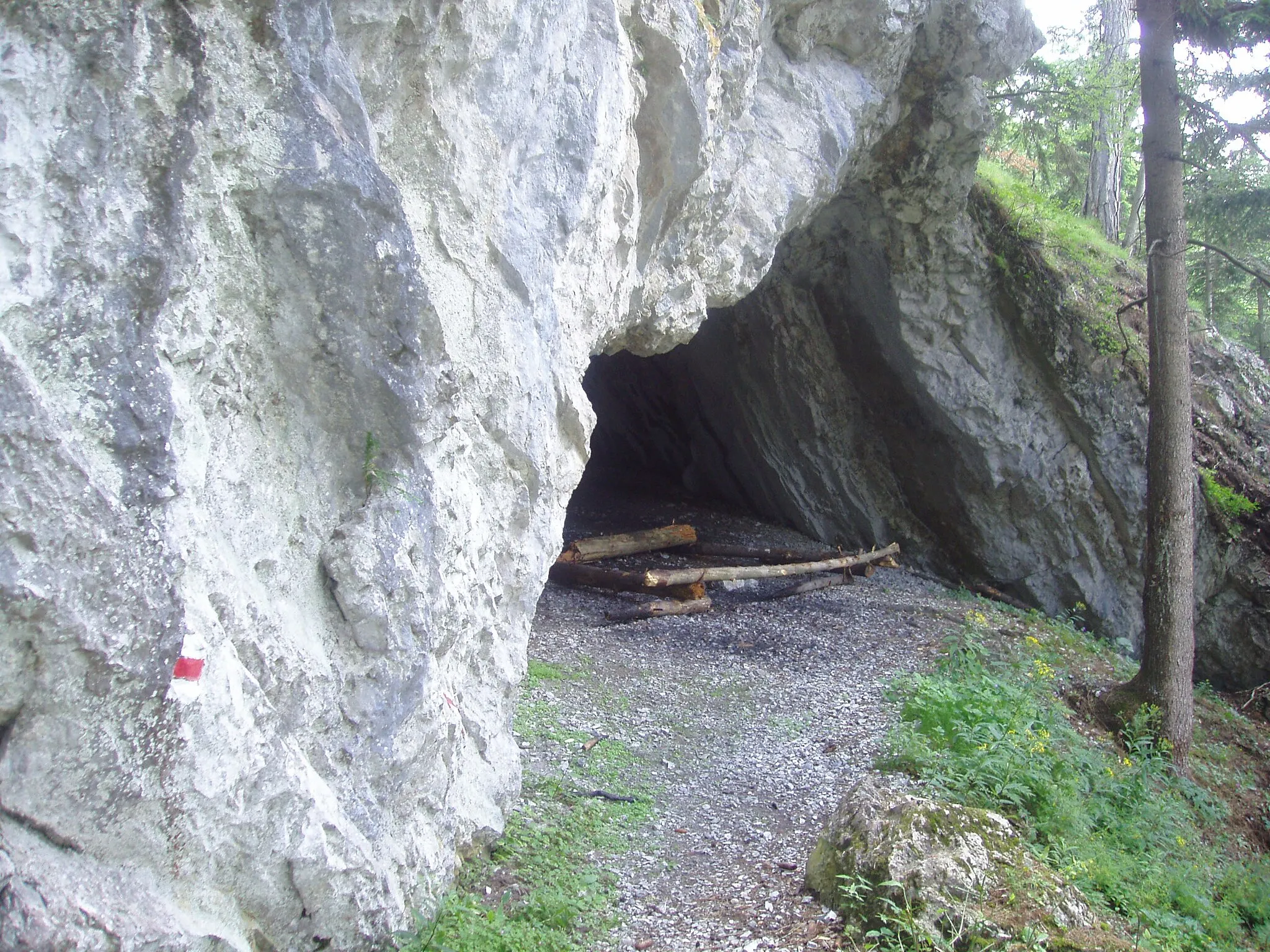 Photo showing: Die Allelujahöhle am Himberg in der Marktgemeinde Puchberg am Schneeberg im südlichen Niederösterreich.