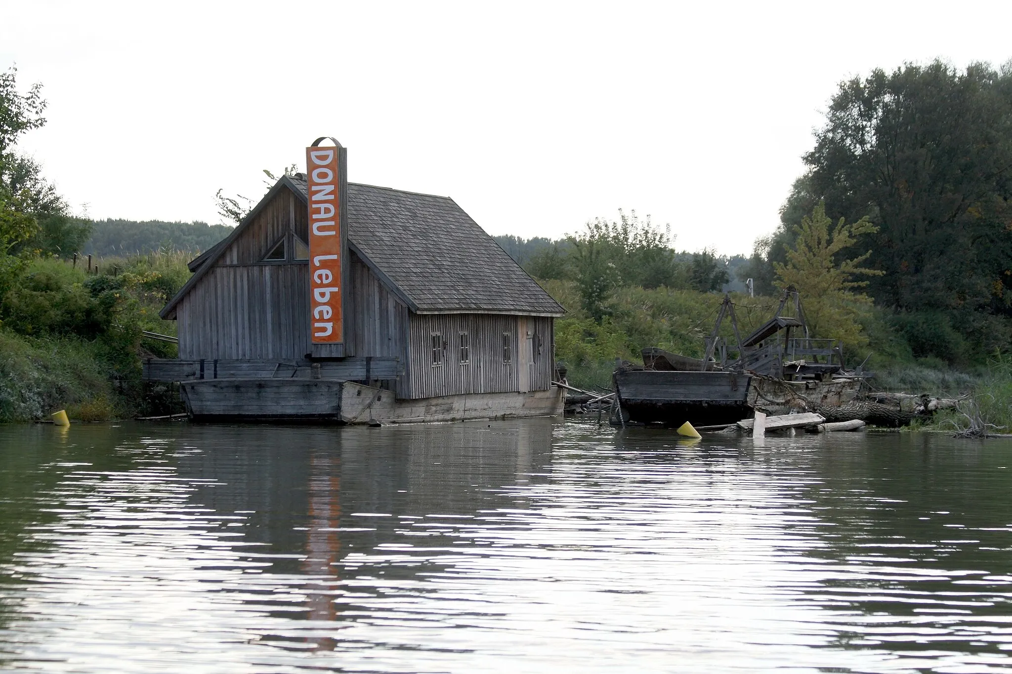 Photo showing: This file shows the National Park Donau-Auen in Austria.