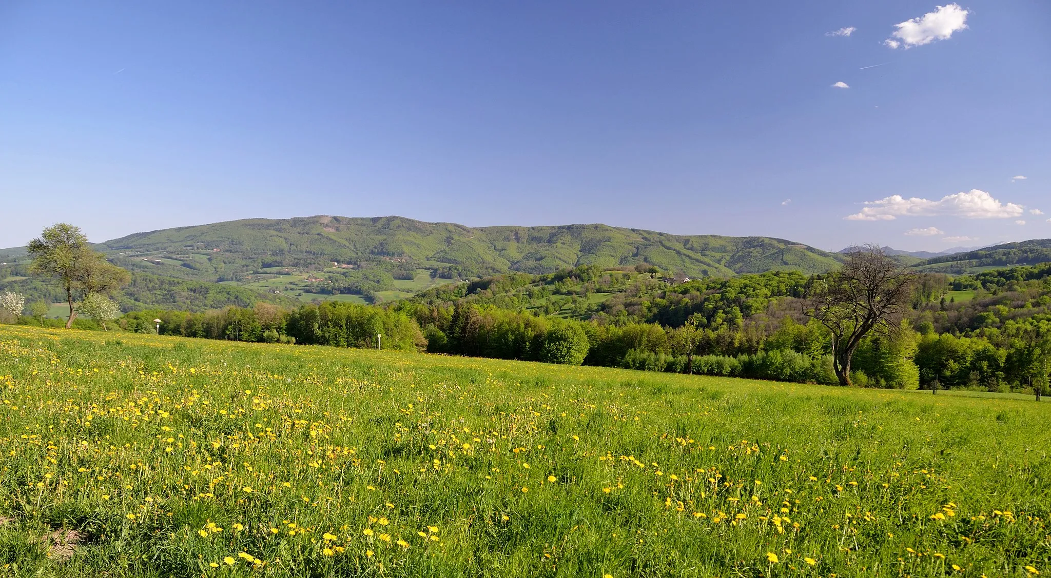 Photo showing: Schöpfl (893m), the highest mountain of Wienerwald seen from NW.