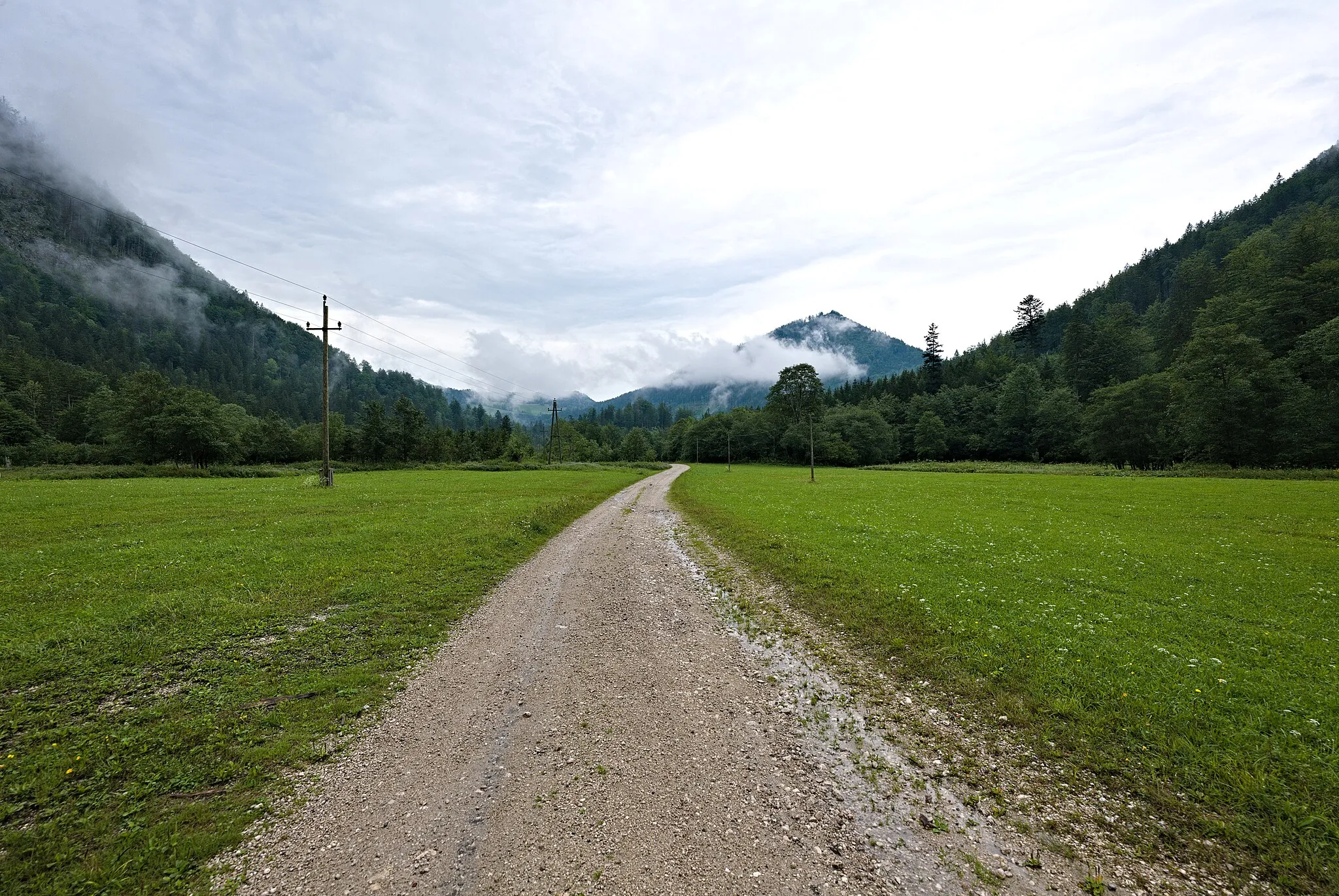 Photo showing: Seebachtal Lunz am See.