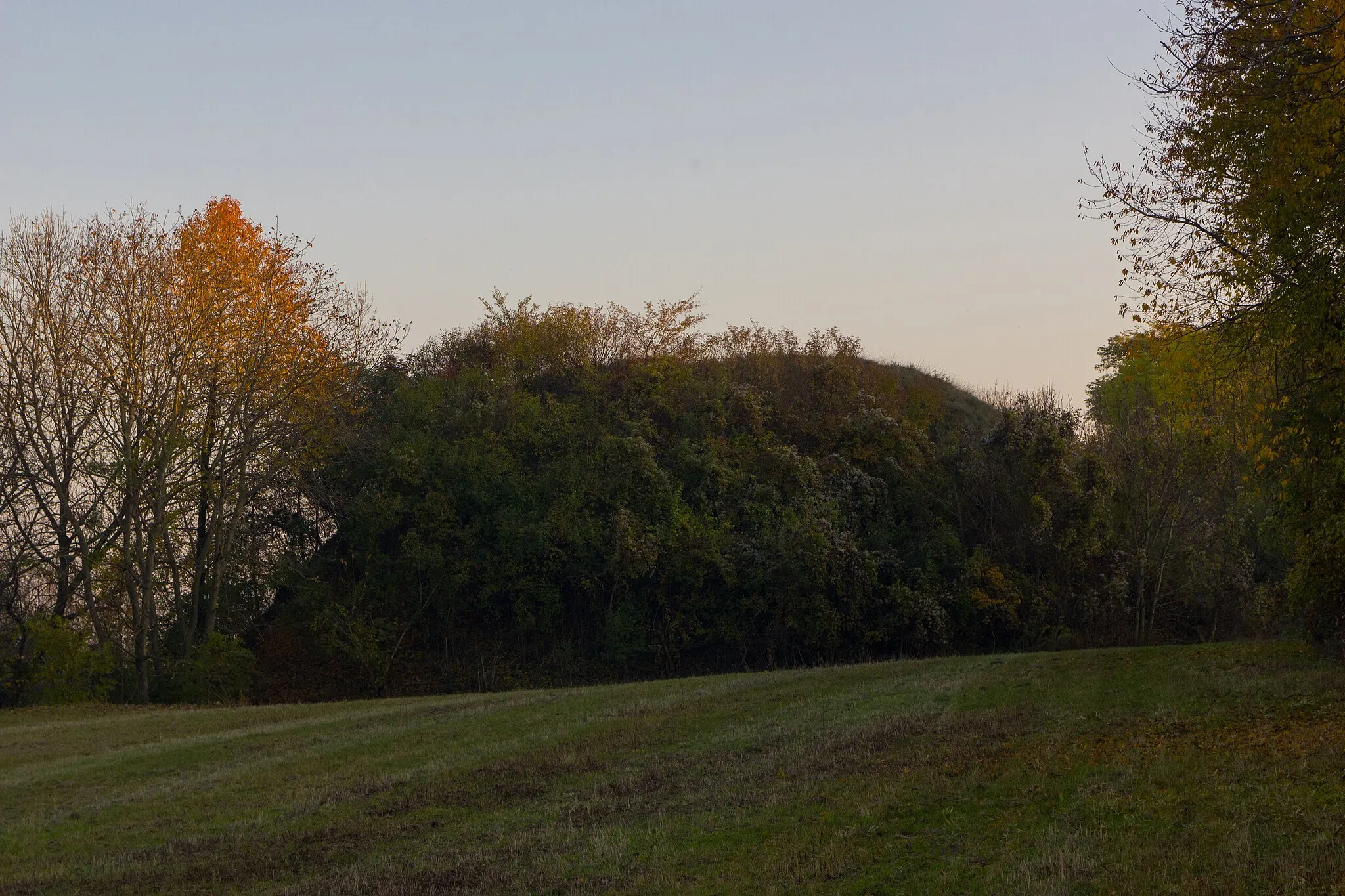 Photo showing: Der Kugelberg, Blickrichtung Süd