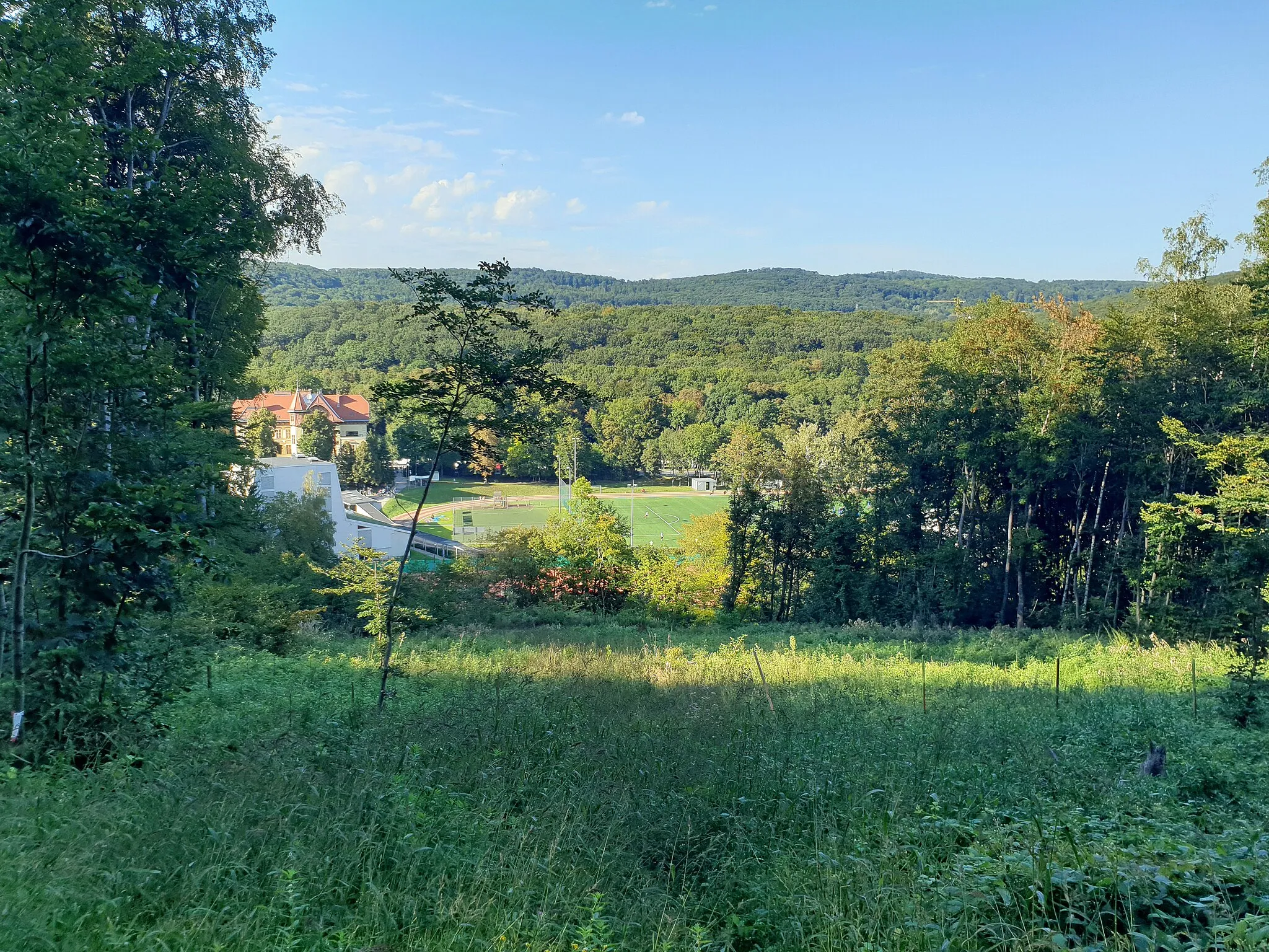 Photo showing: Blick vom Heuberg auf die Marswiese in Wien.