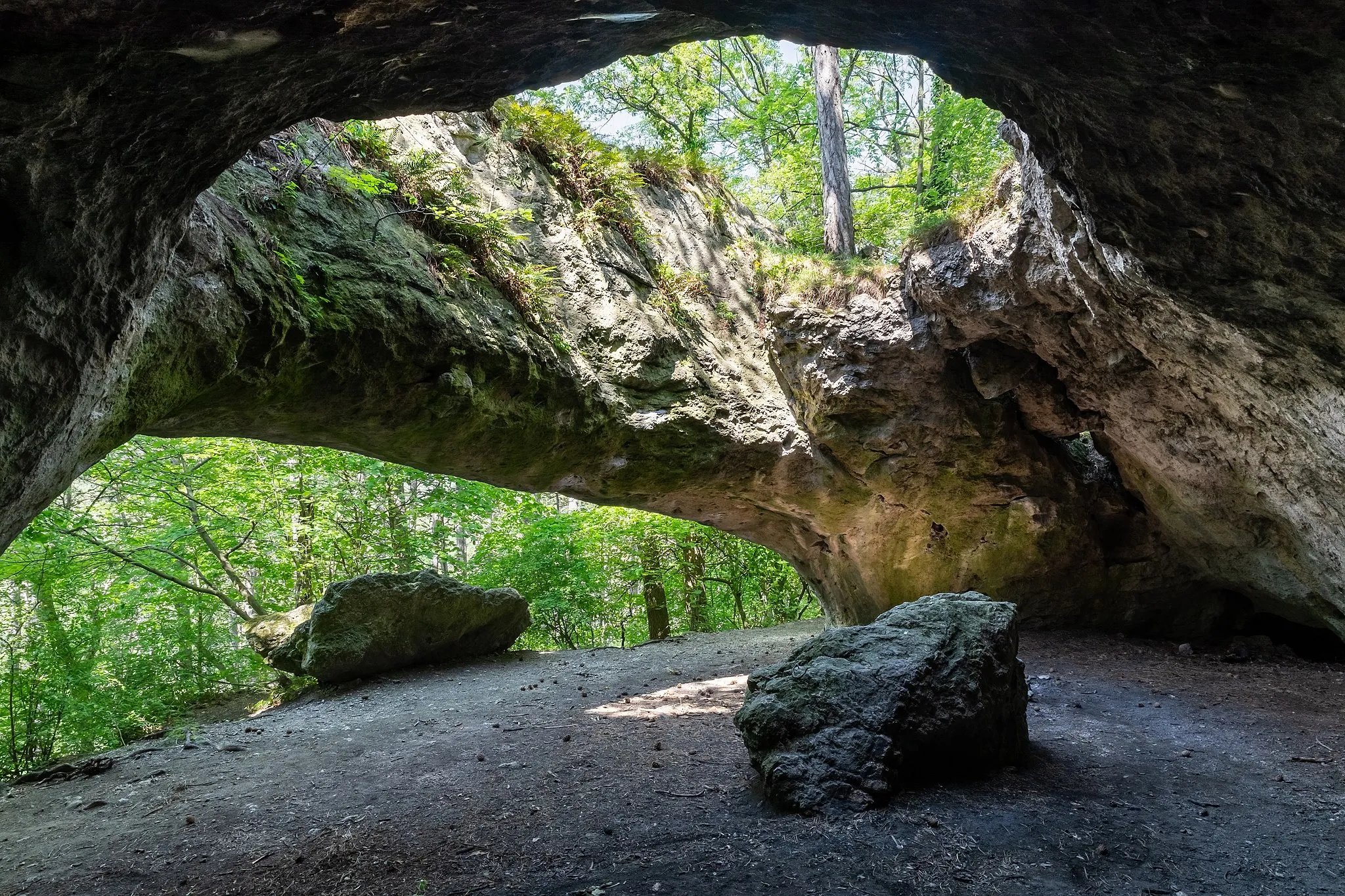 Photo showing: This media shows the natural monument in Lower Austria  with the ID BN-088.